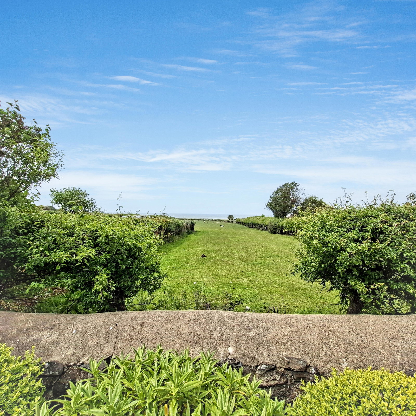 Detached House in Llanon