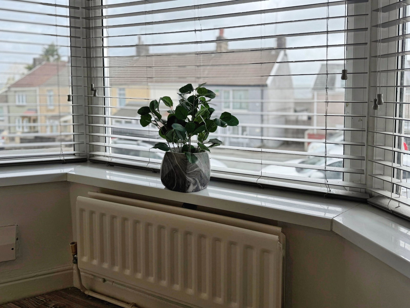 Terraced House in Swansea