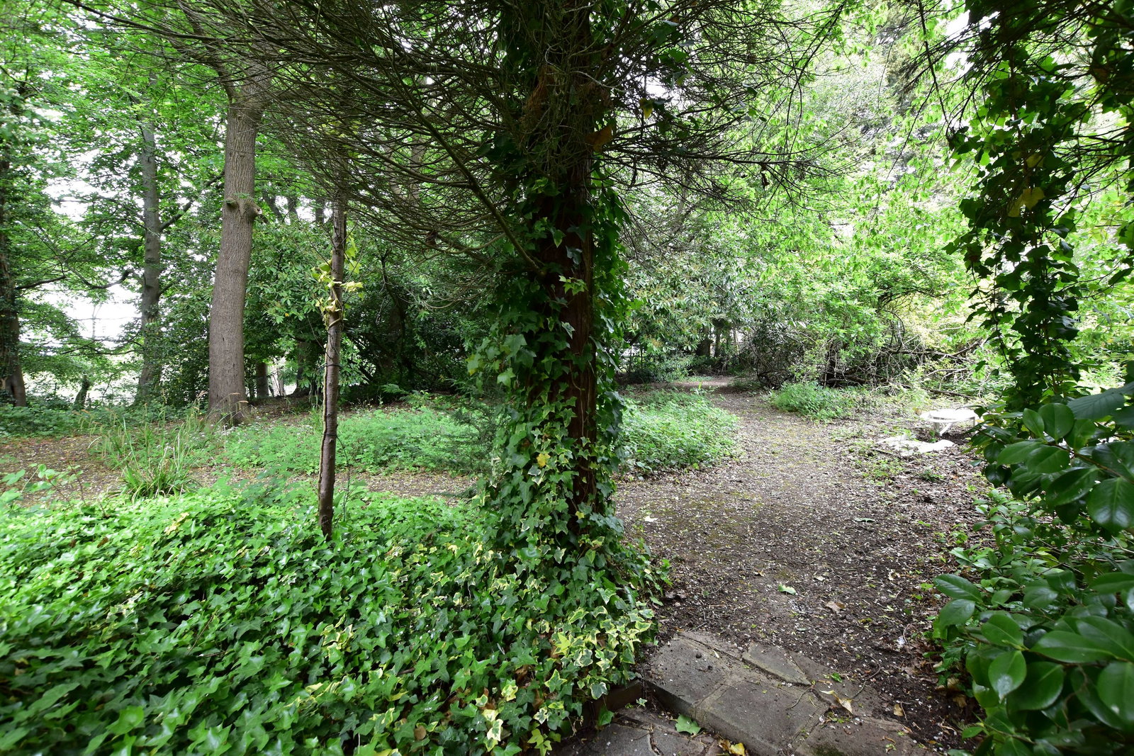 Detached House in Harrow