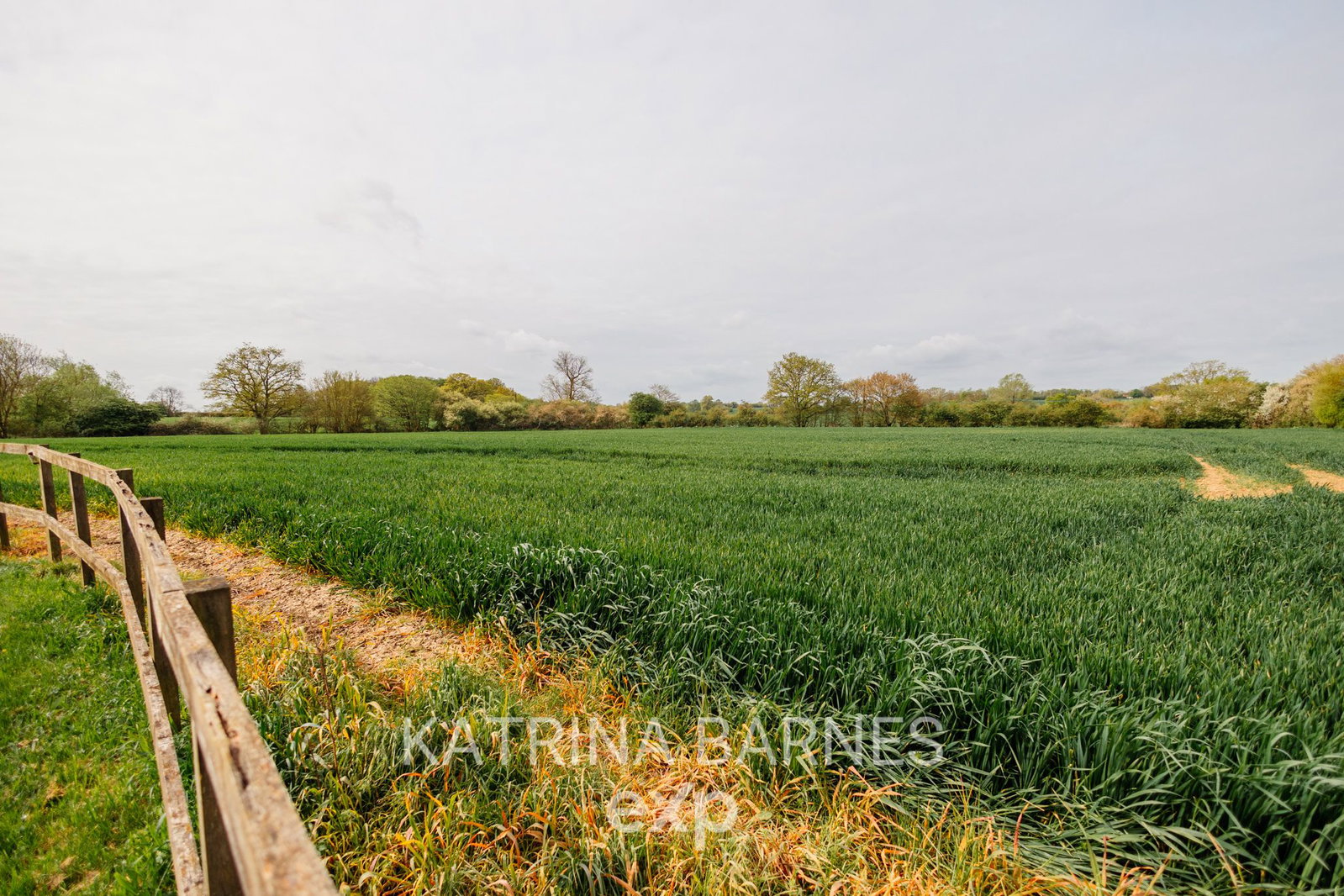 Detached House in Chelmsford