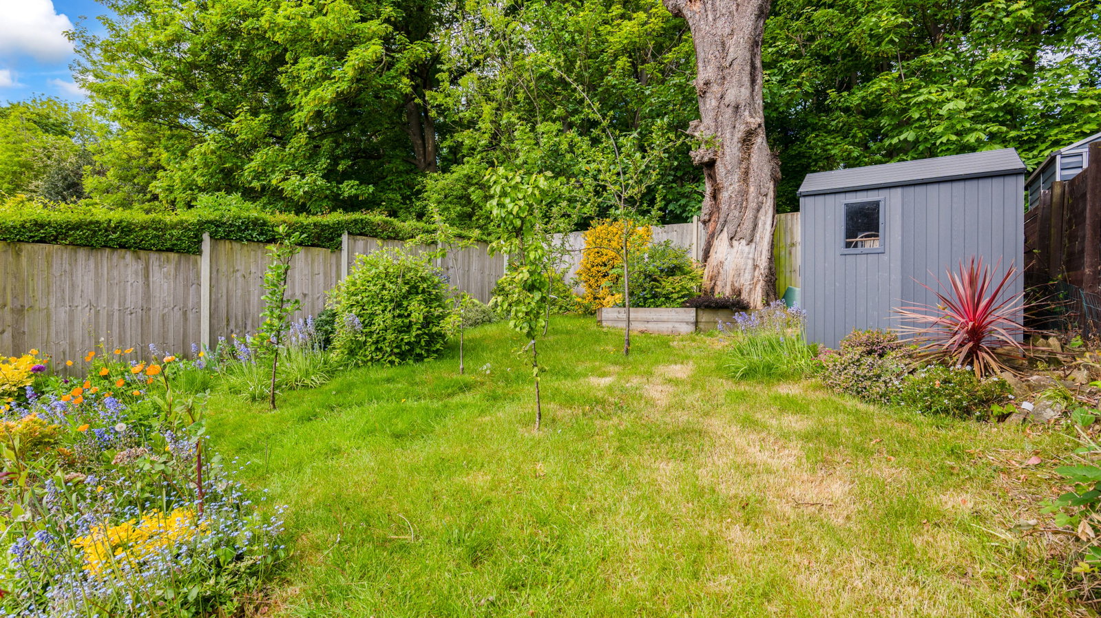 Semi Detached House in Sheffield
