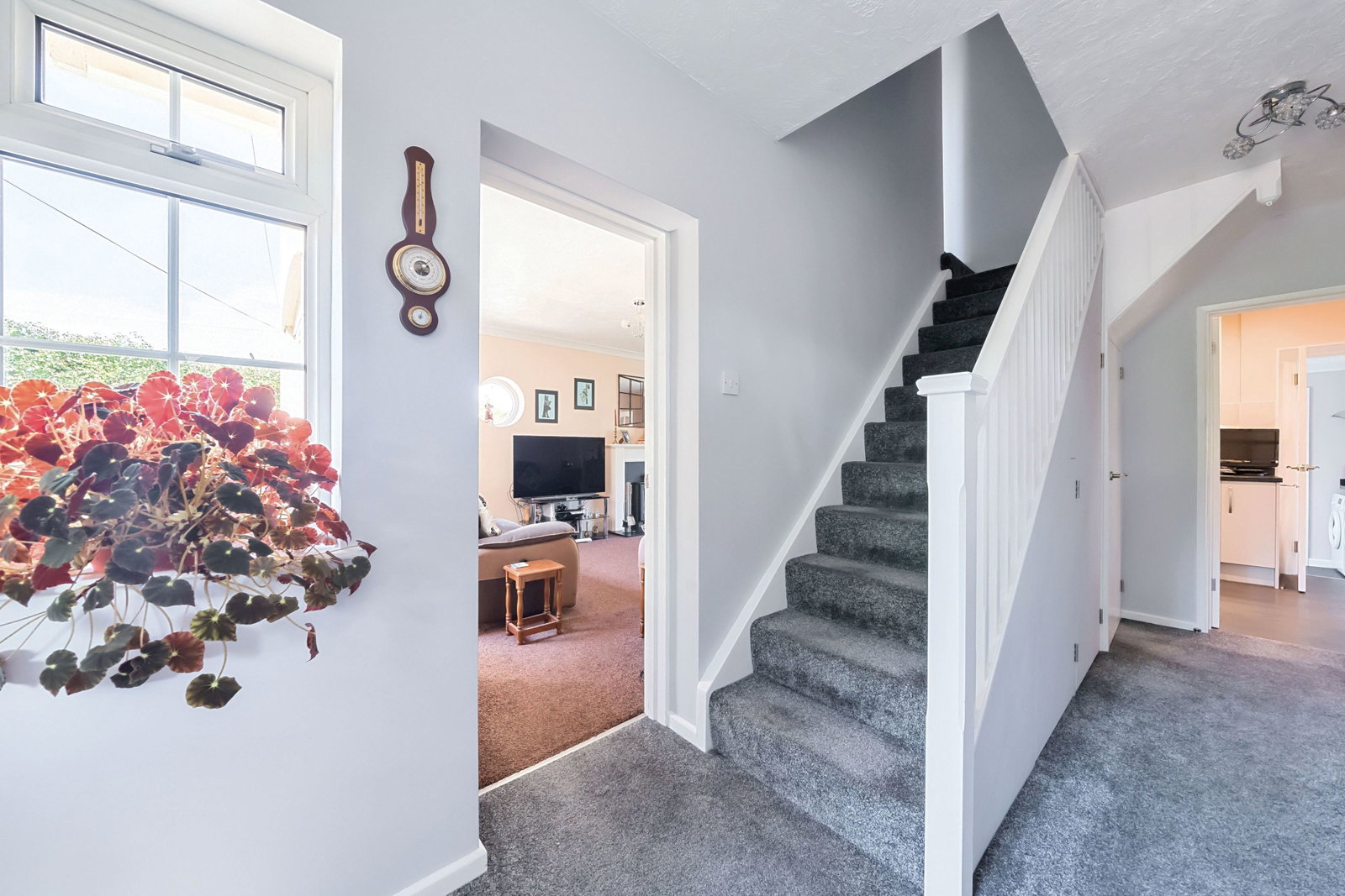 Semi Detached House in Exeter