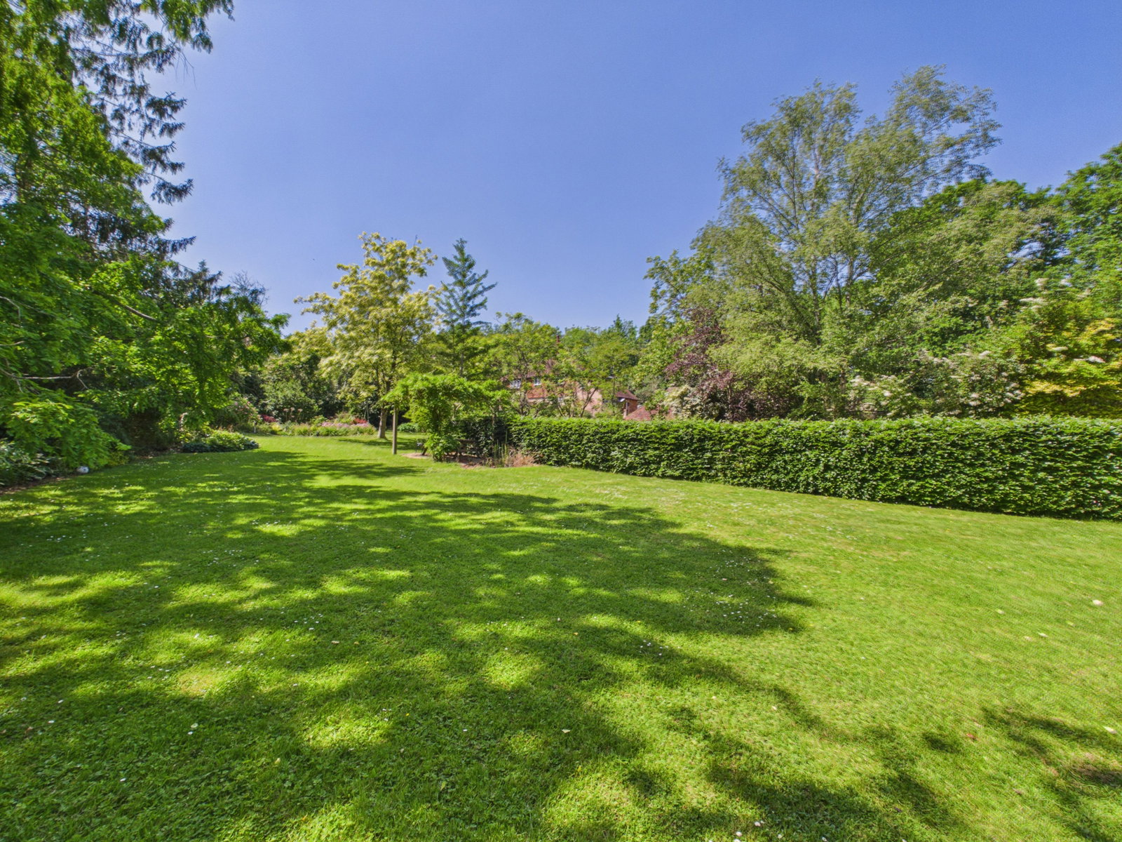 Detached House in Cranbrook