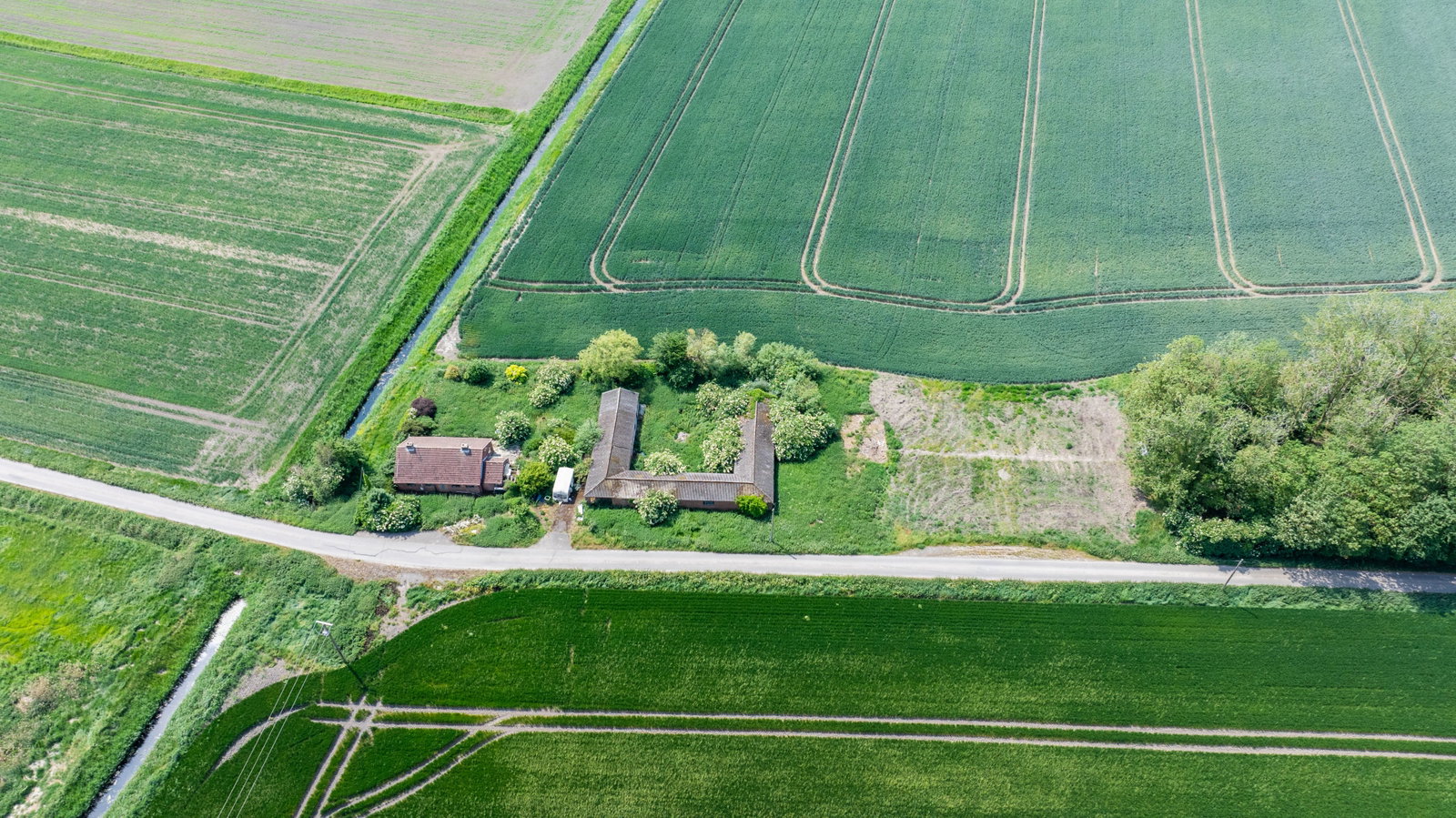 Plot in Downham Market