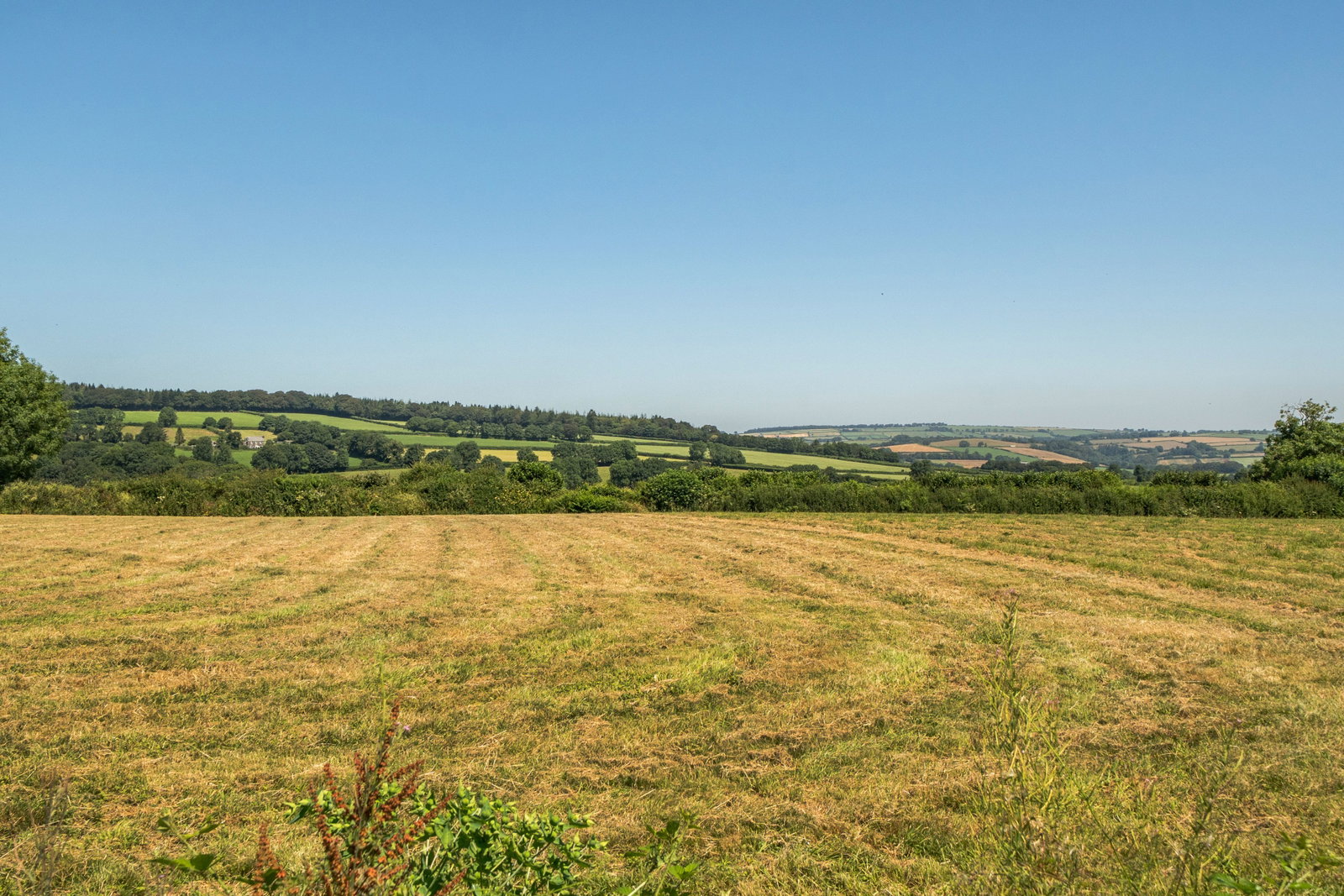 Detached House in Callington
