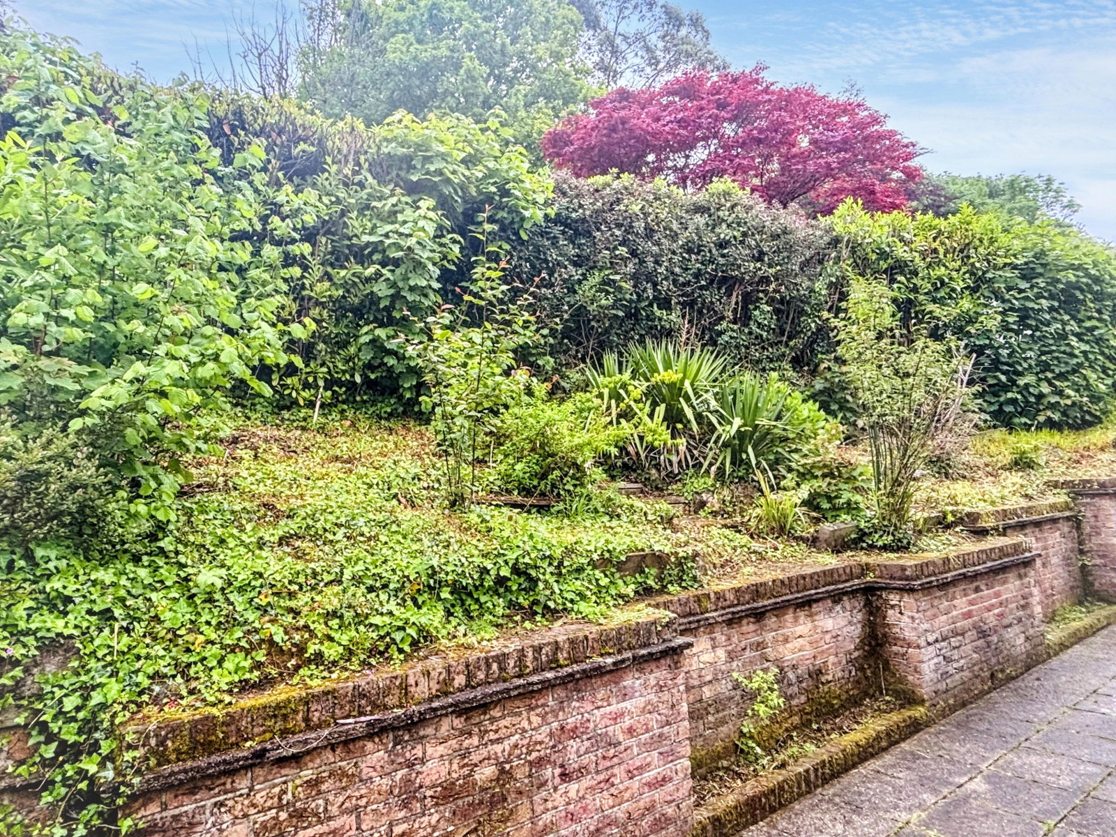 Detached House in Tavistock