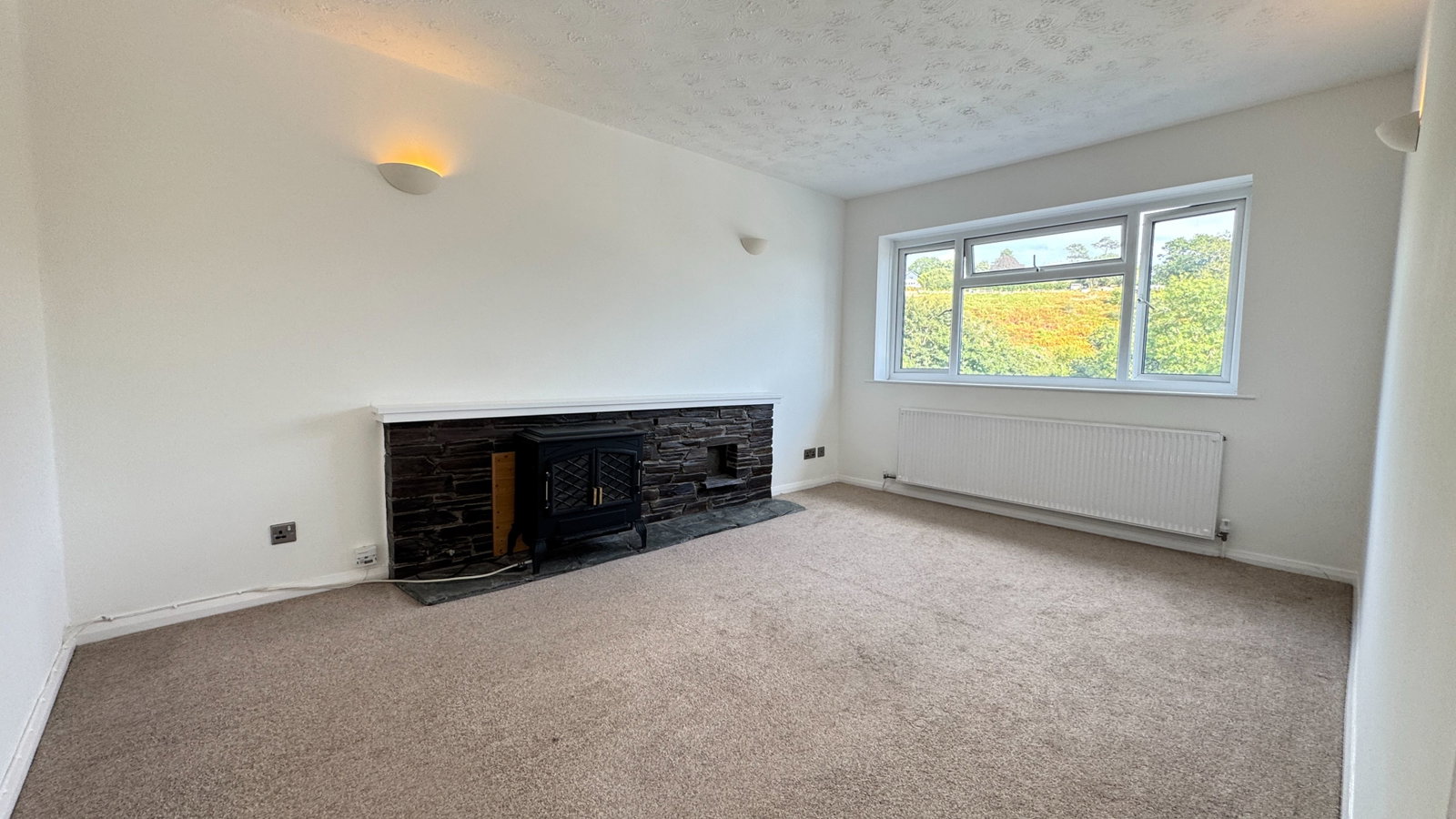 Semi Detached House in Tavistock 5