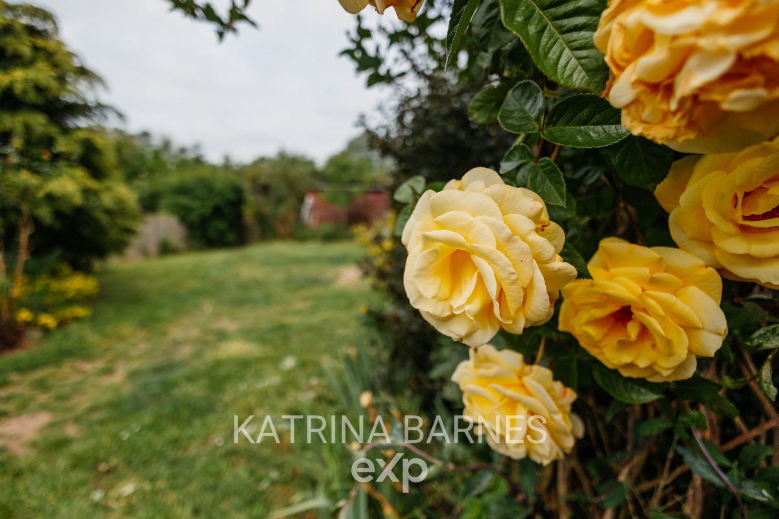 Semi Detached House in Braintree