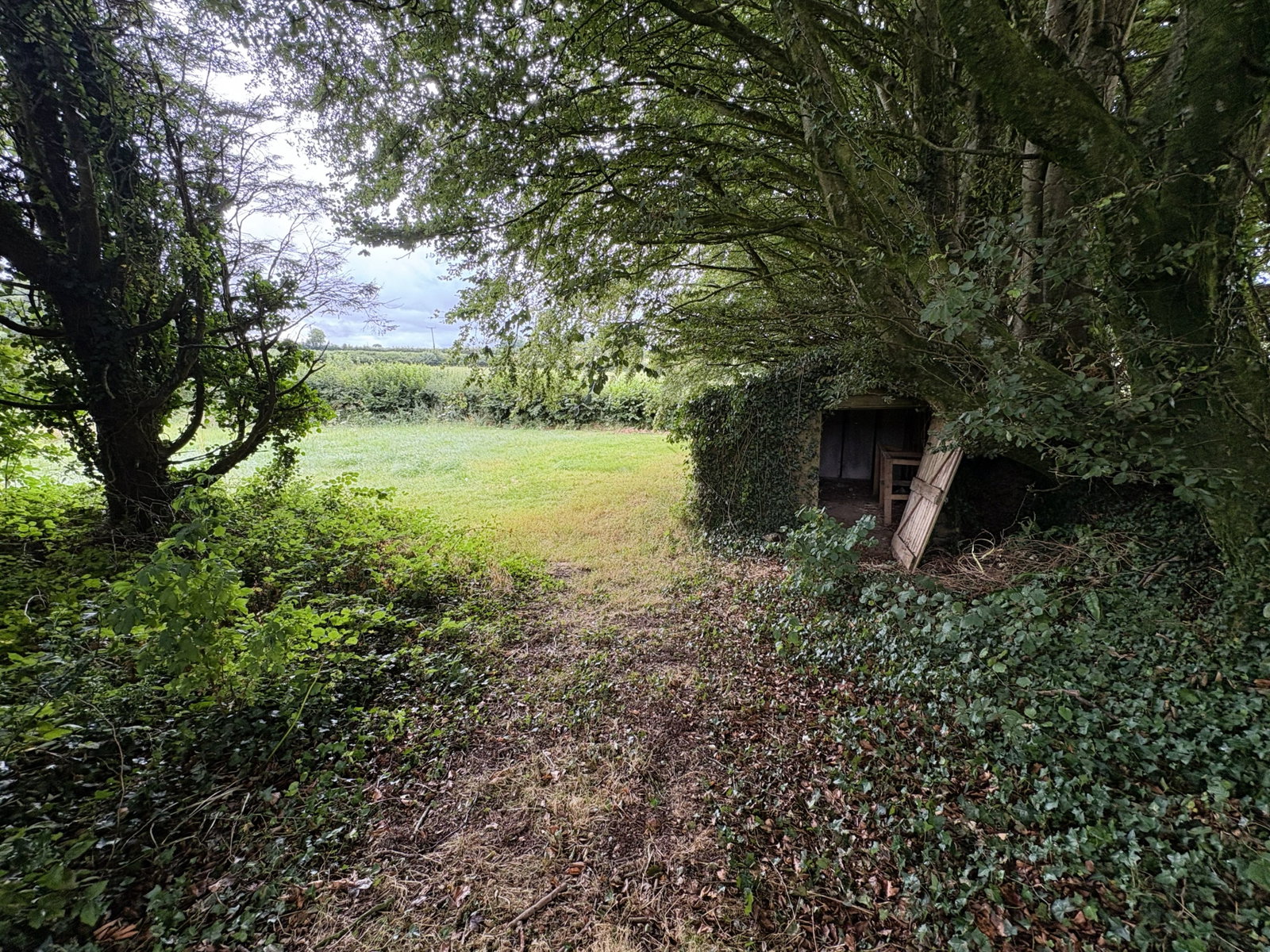 Detached House for sale in Tavistock, The Round house, Chillaton...
