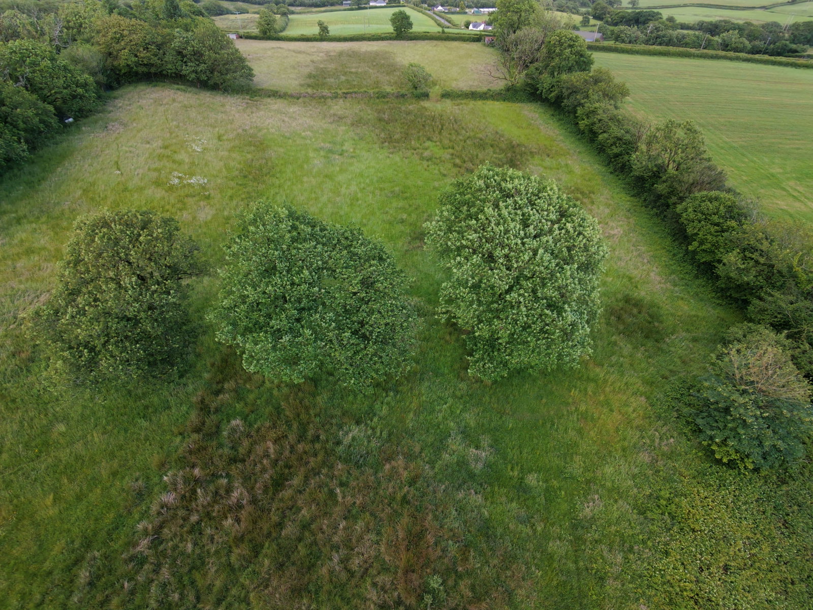 Land in Mynyddcerrig,