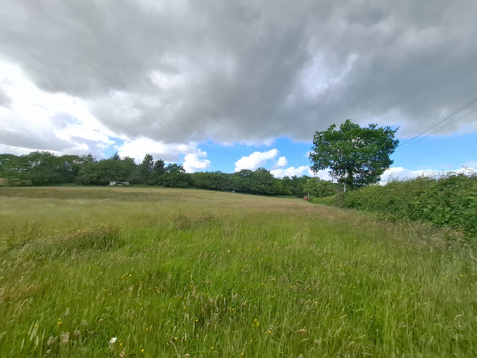 Land in Mynyddcerrig,