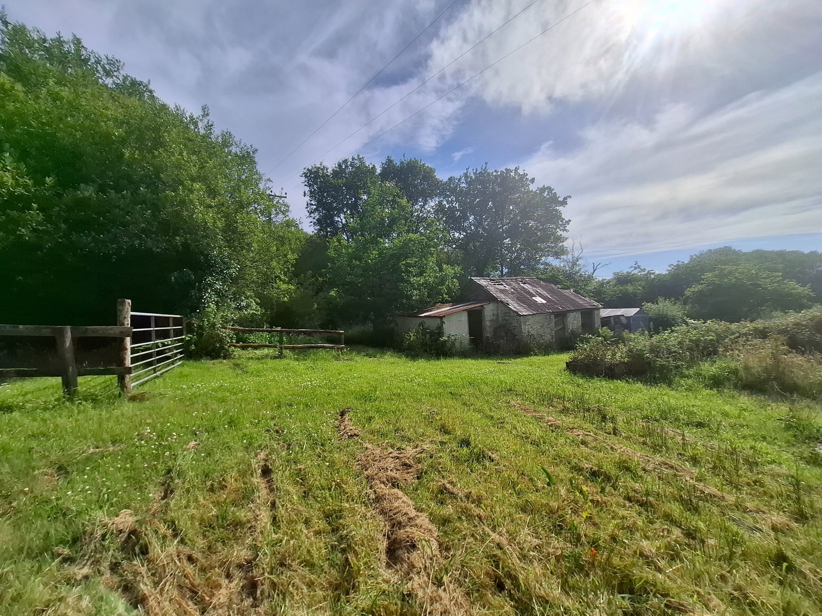 Smallholding in Ammanford 4