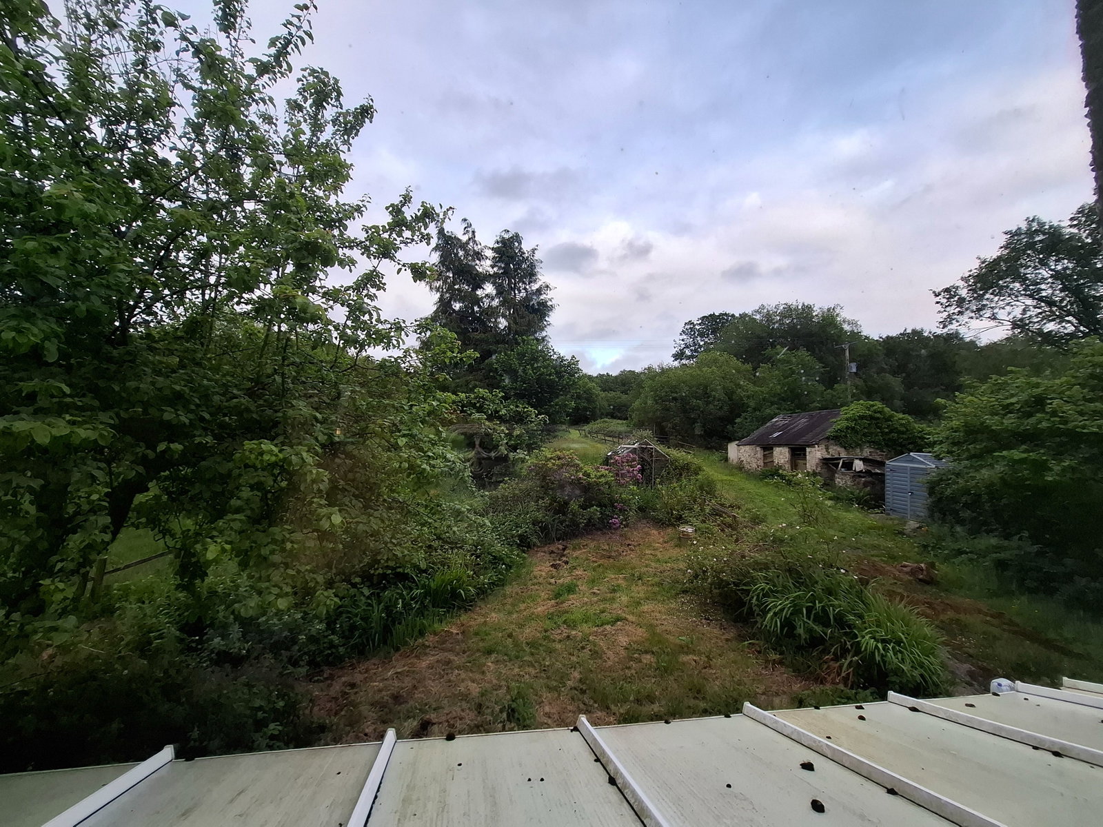 Smallholding in Ammanford 3