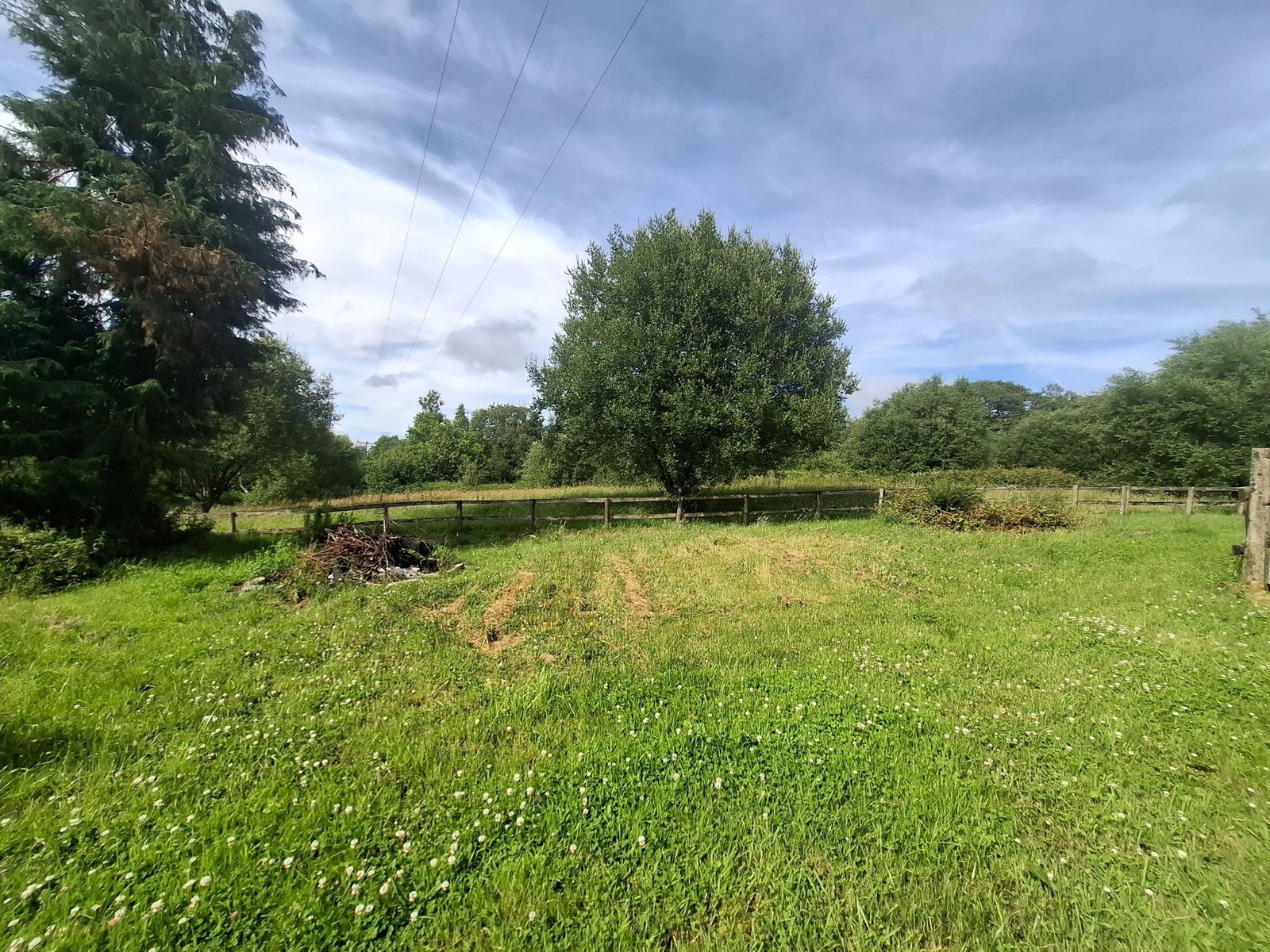 Smallholding in Ammanford 5
