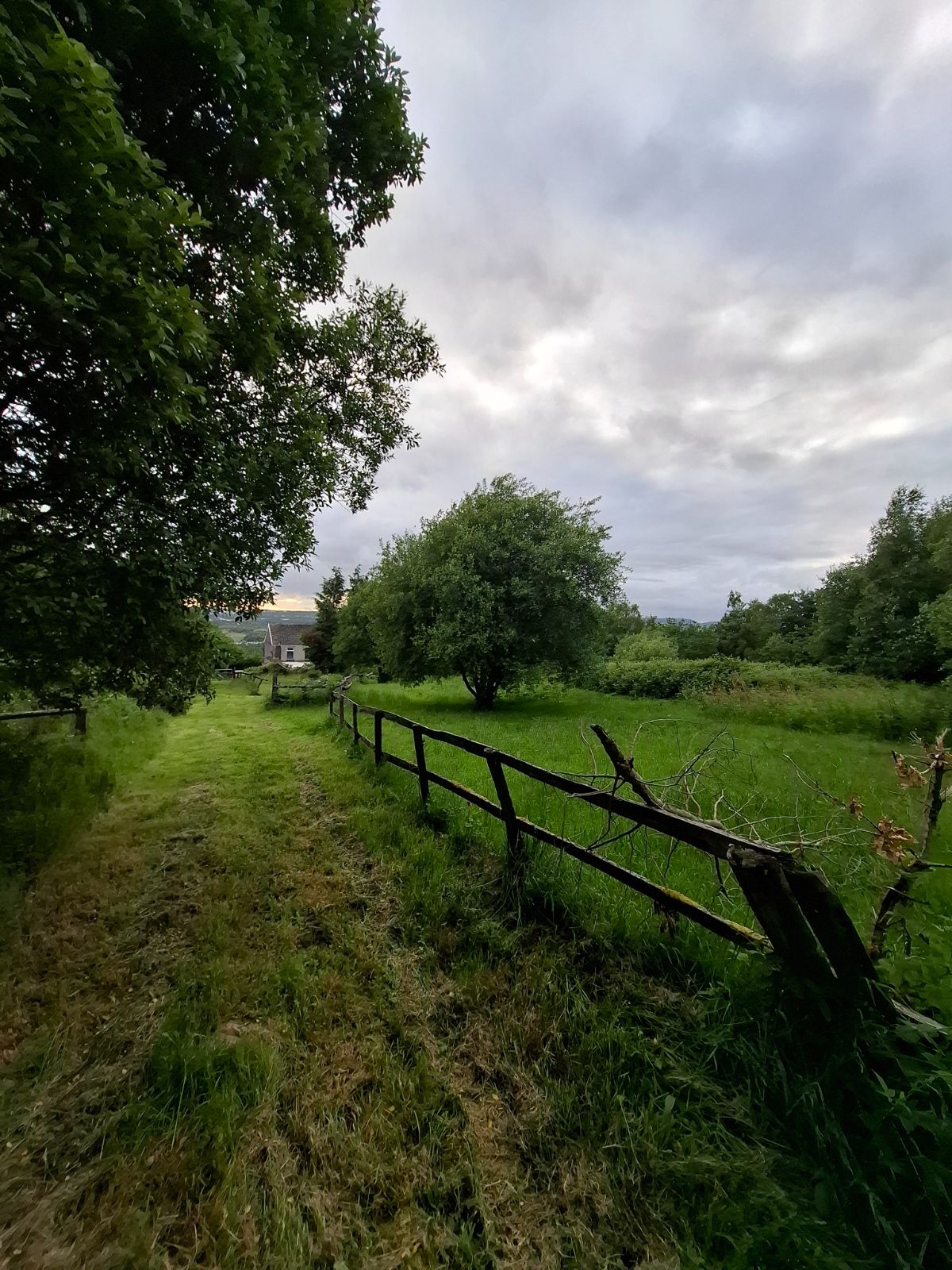 Smallholding in Ammanford