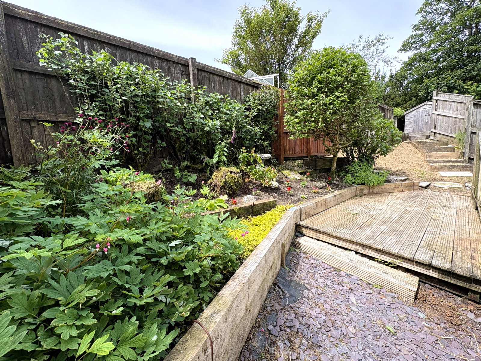 End Of Terrace House in Yelverton