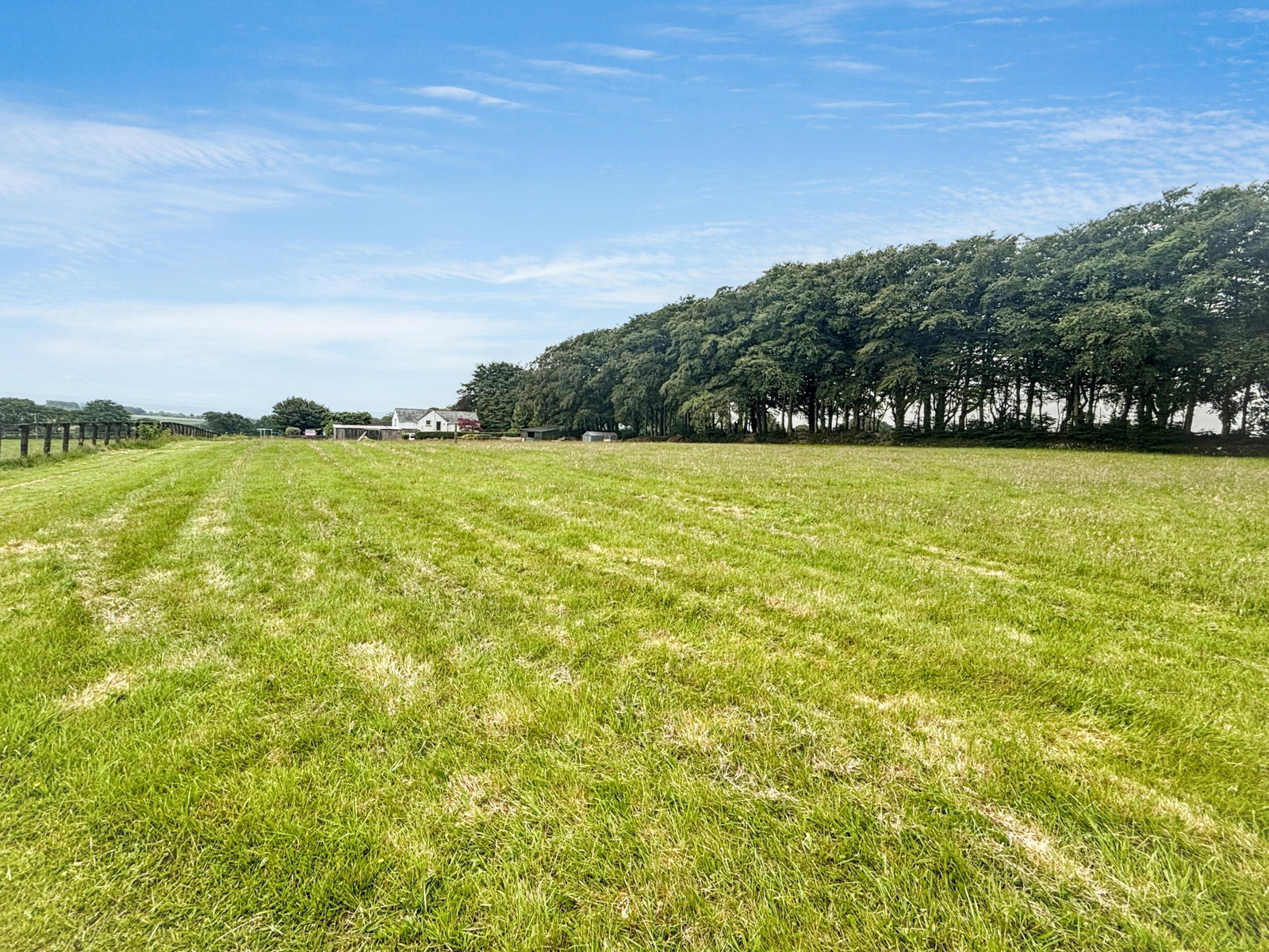 Detached House in Tavistock