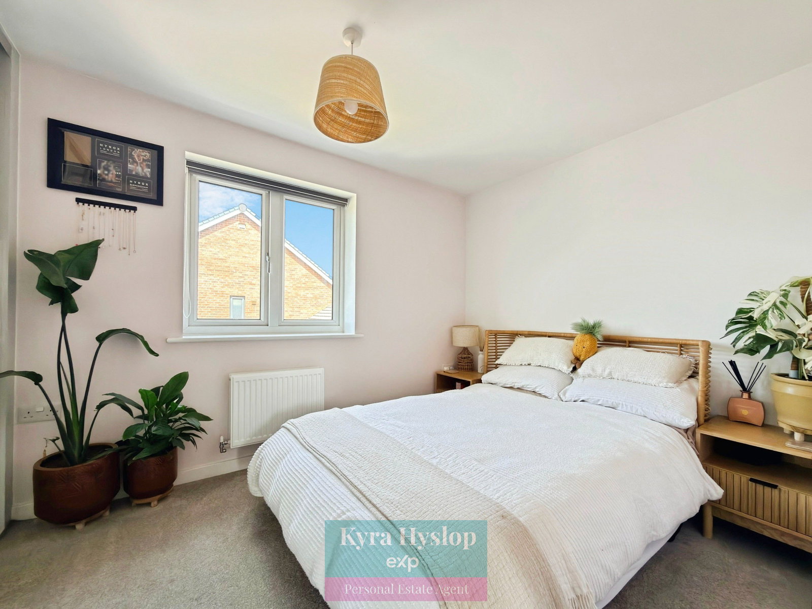 Terraced House in Exeter 