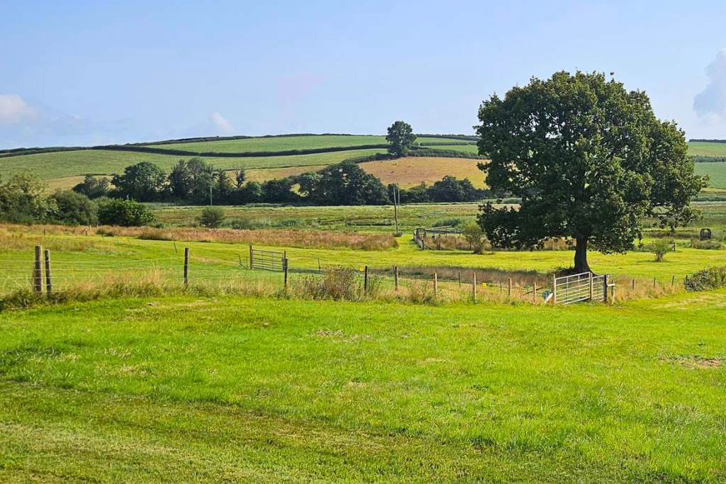 Land in St Clears