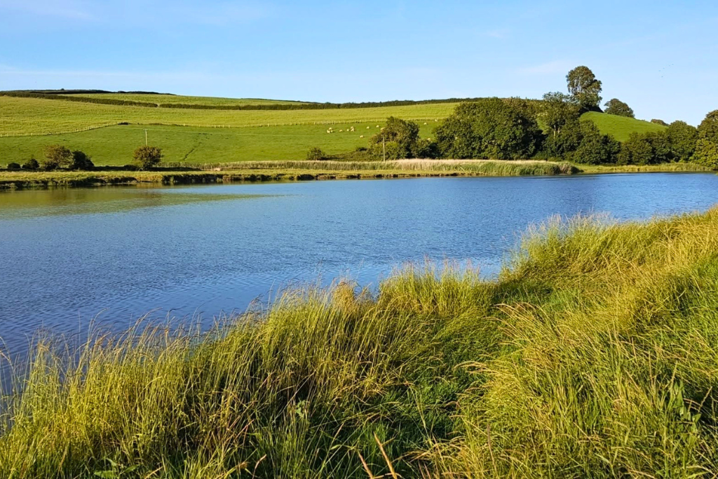 Land in St Clears