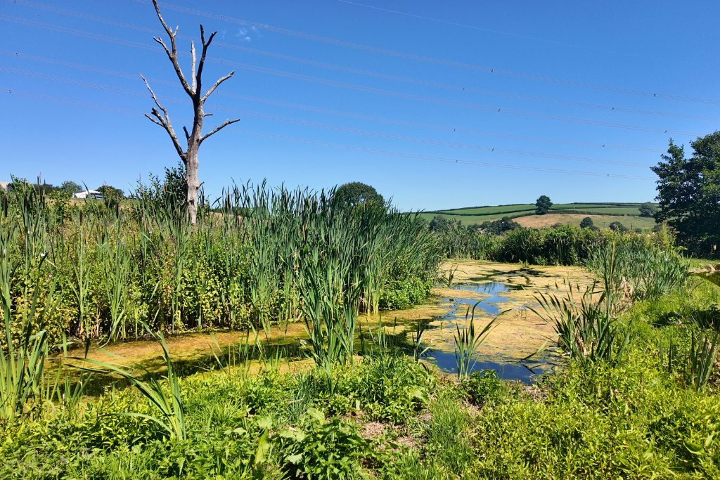 Land in St Clears