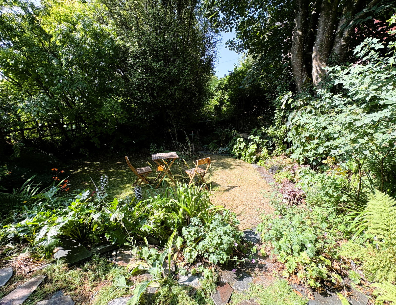 Semi Detached House in Tavistock
