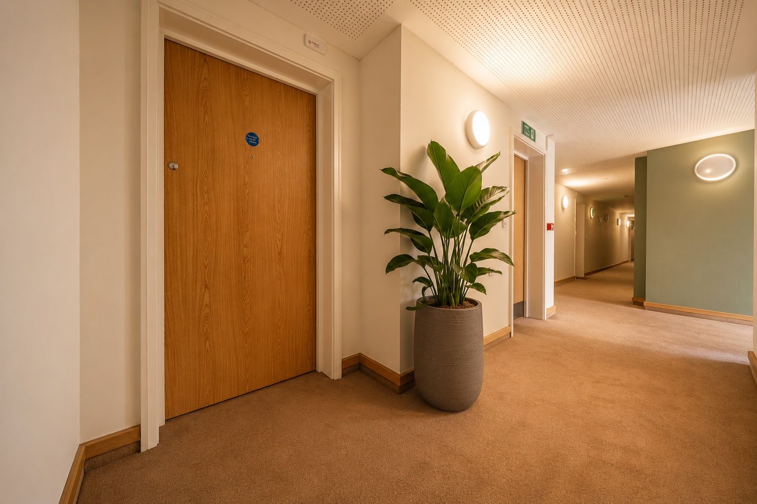 Flat in Norwich