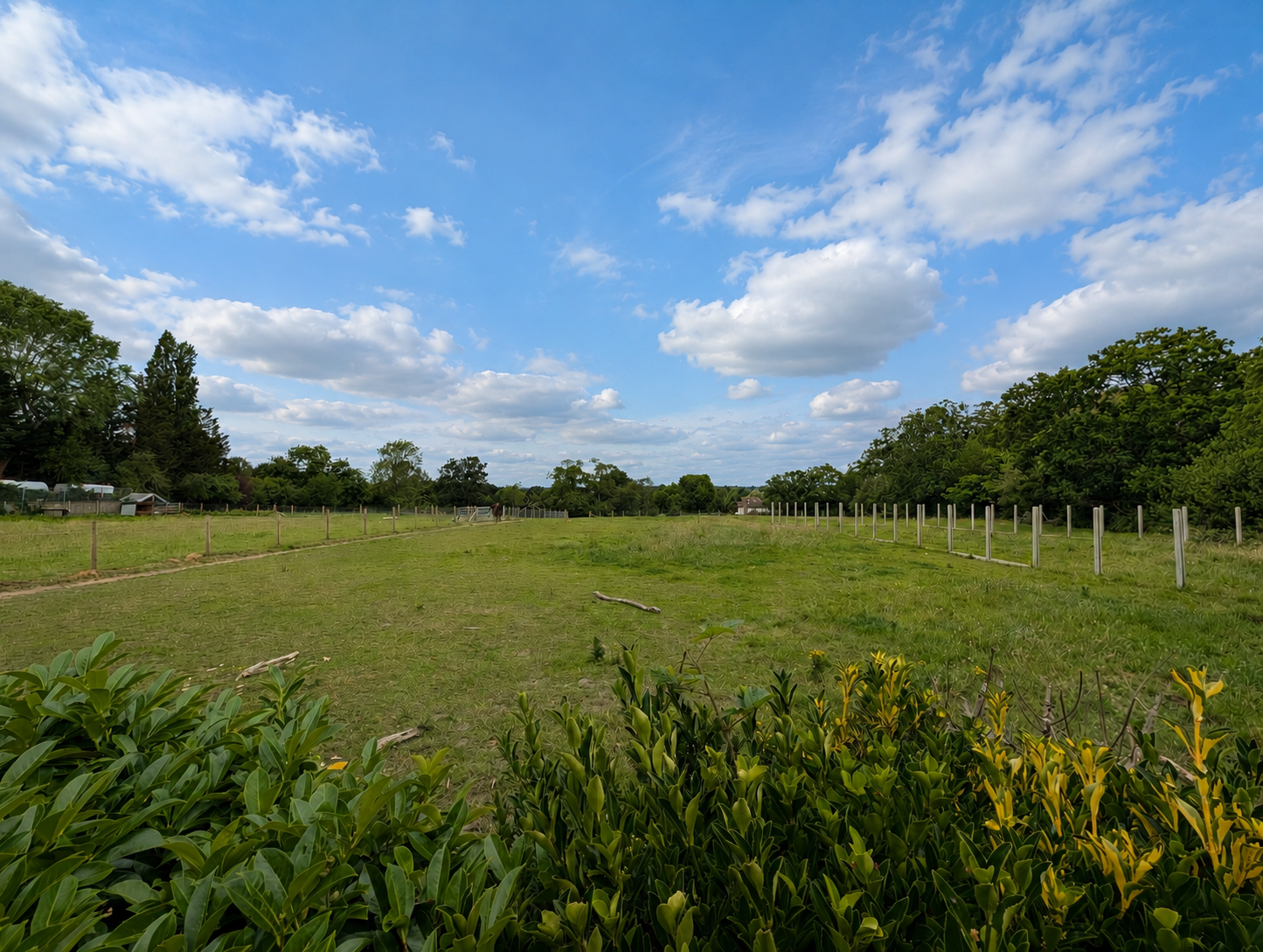 Land in Barnet