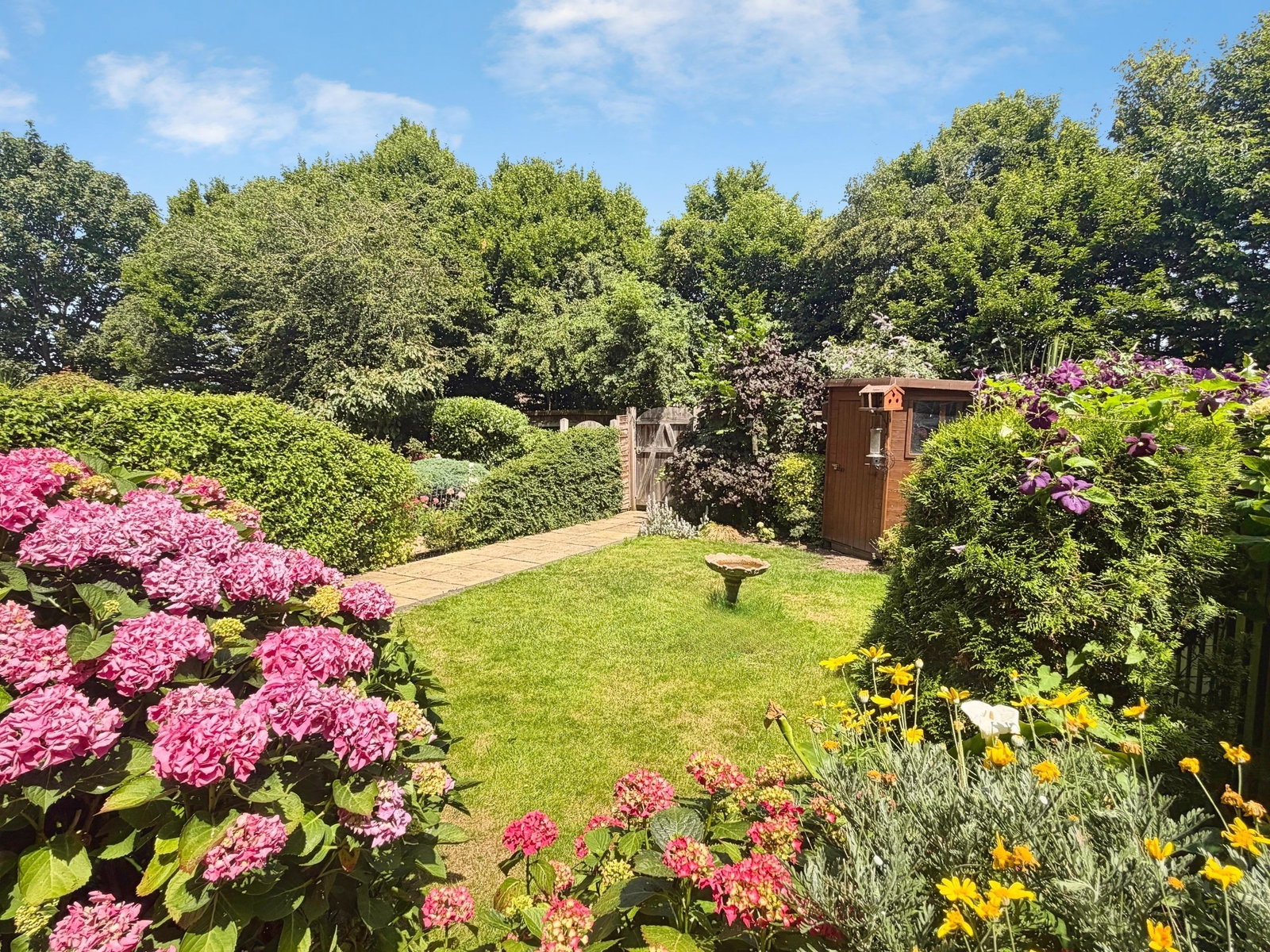 Terraced House in Minehead