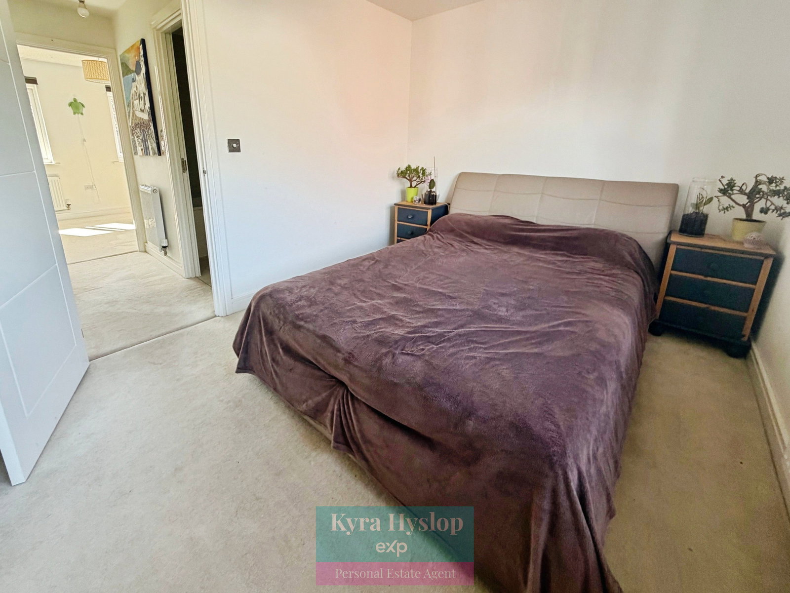 Terraced House in Exeter  4