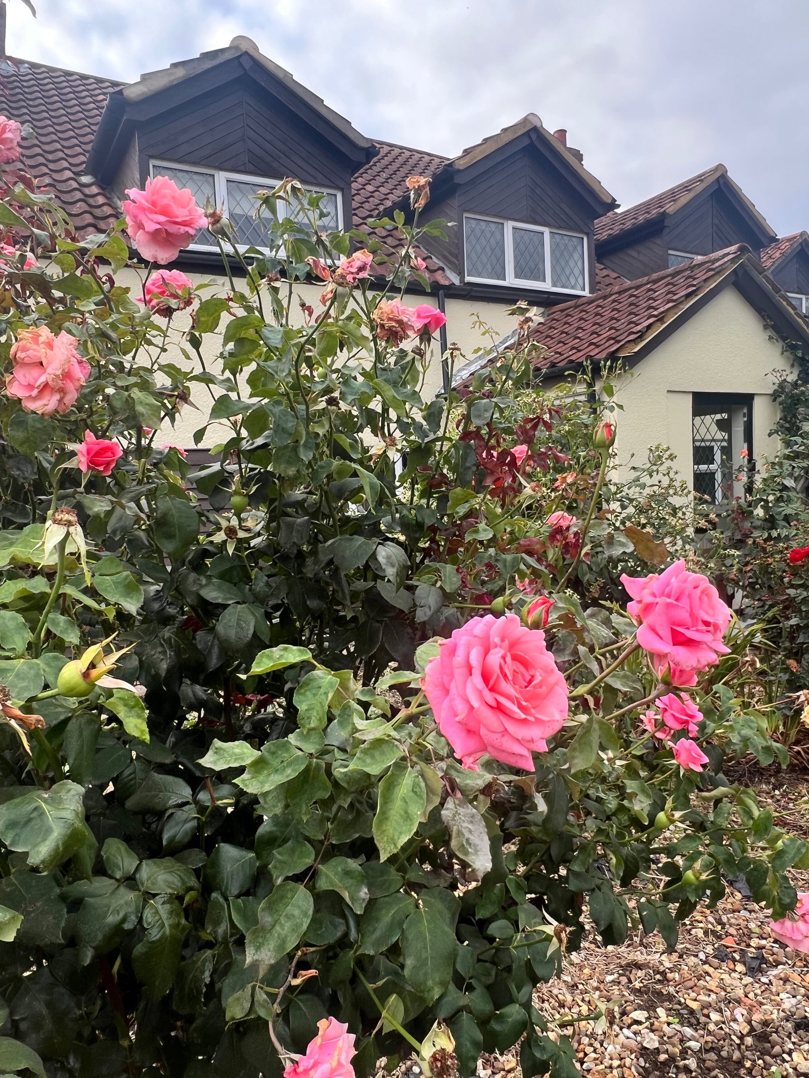 Detached House for sale in Wisbech, Mumbys Drove, Three Holes, Wisbech, PE14 9JT