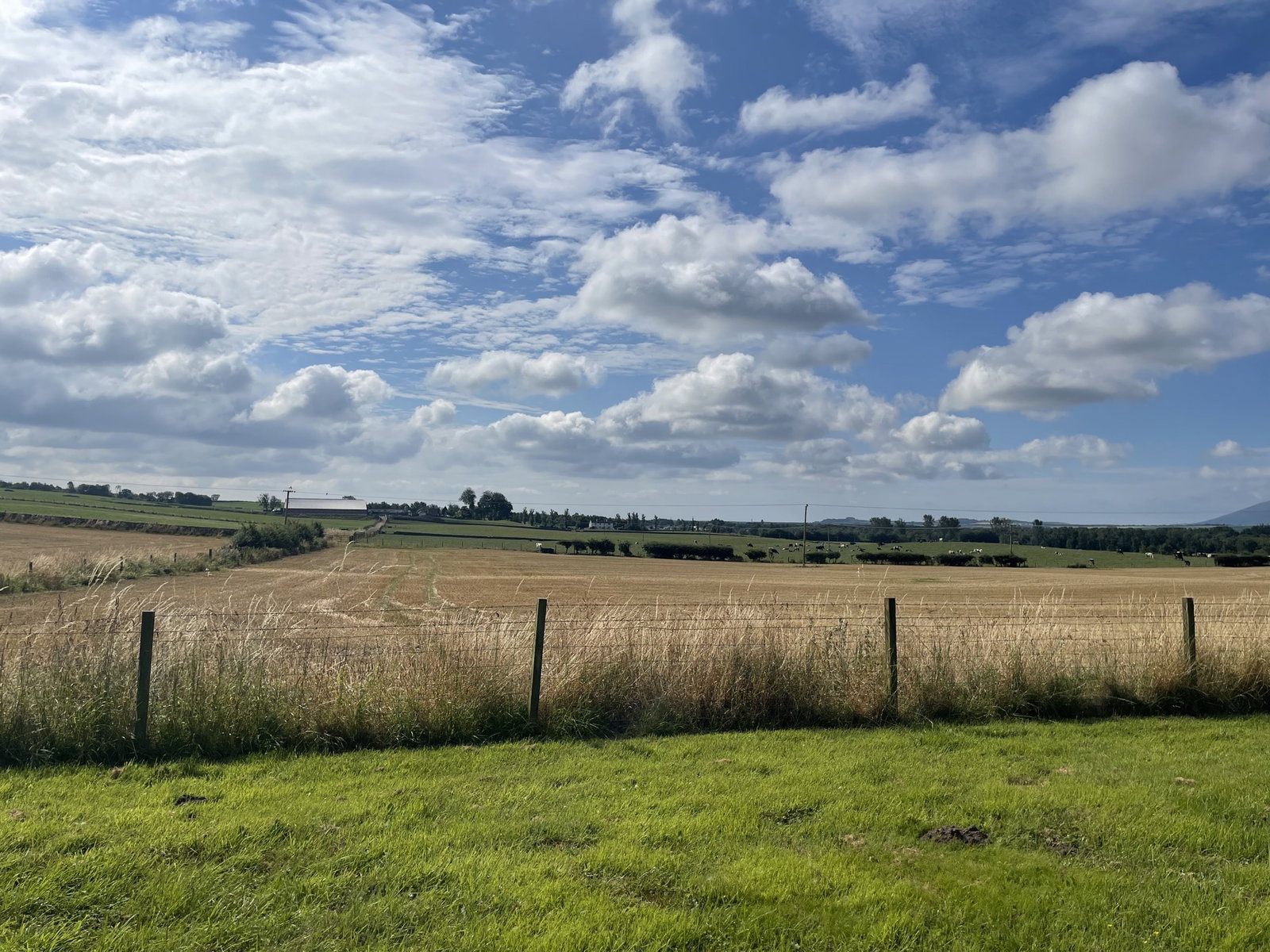 Plot in Dumfries 