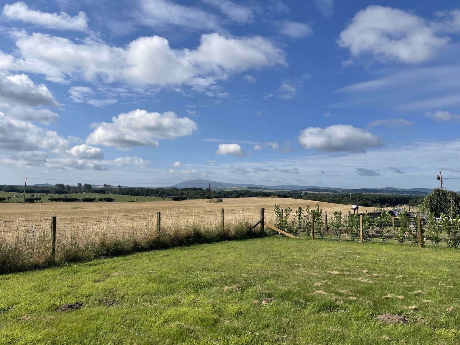 Plot in Dumfries 