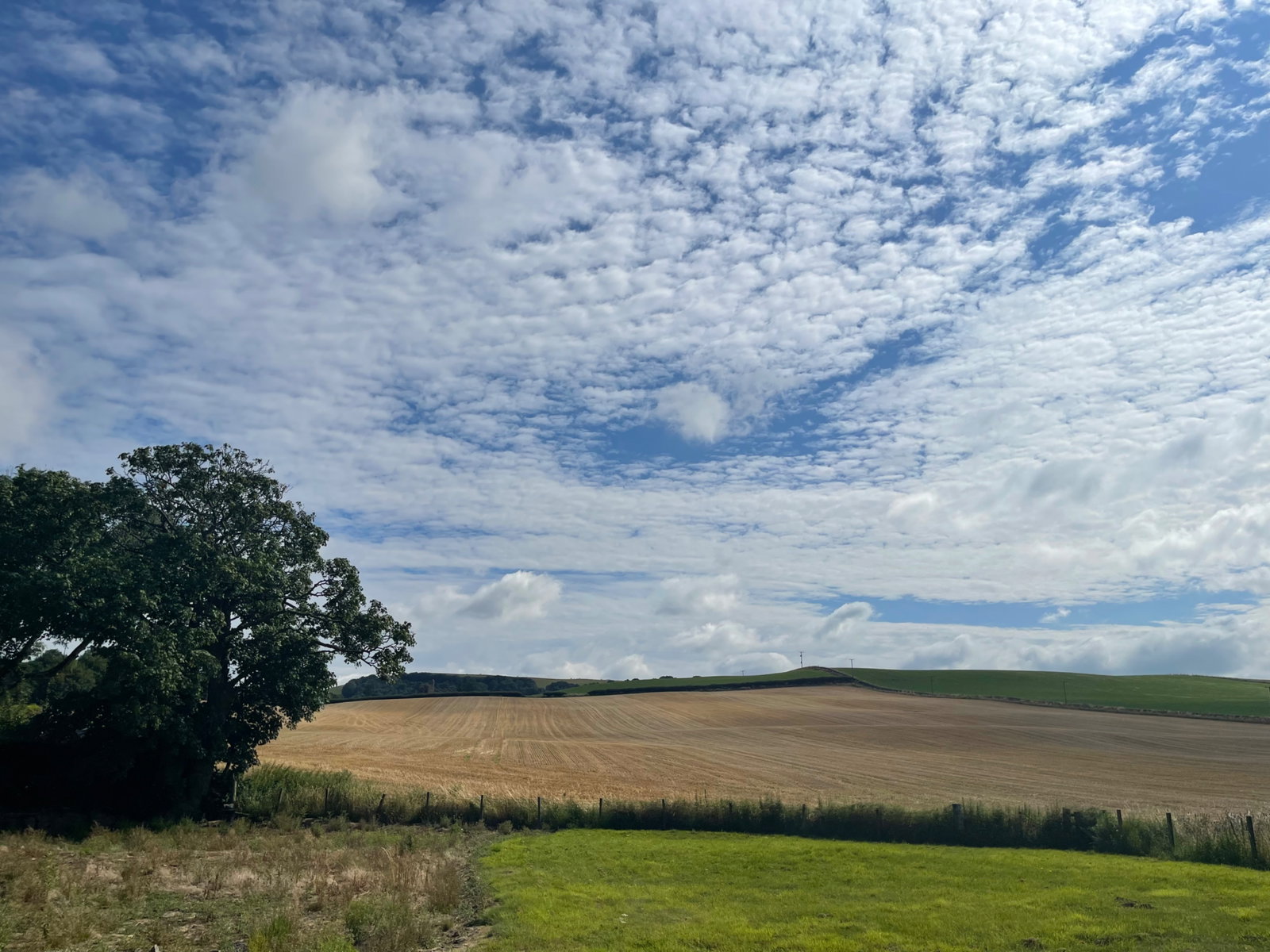 Plot in Dumfries 