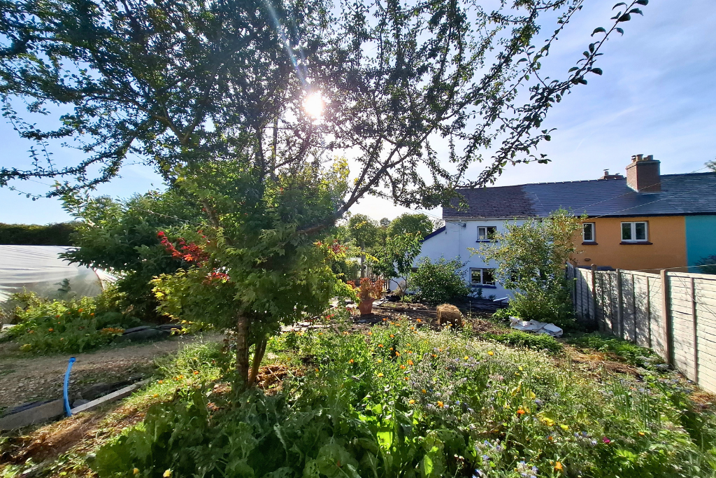 Cottage in Llanfyrnach