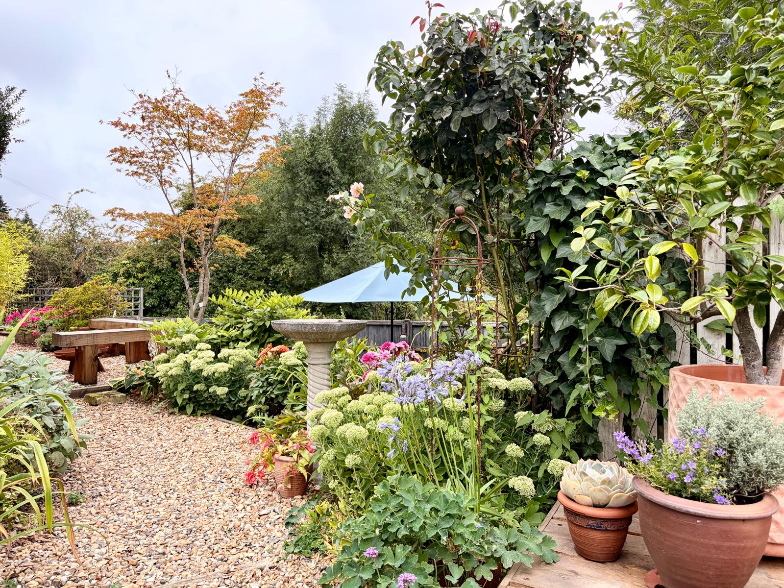 Semi Detached House in West Malling 2