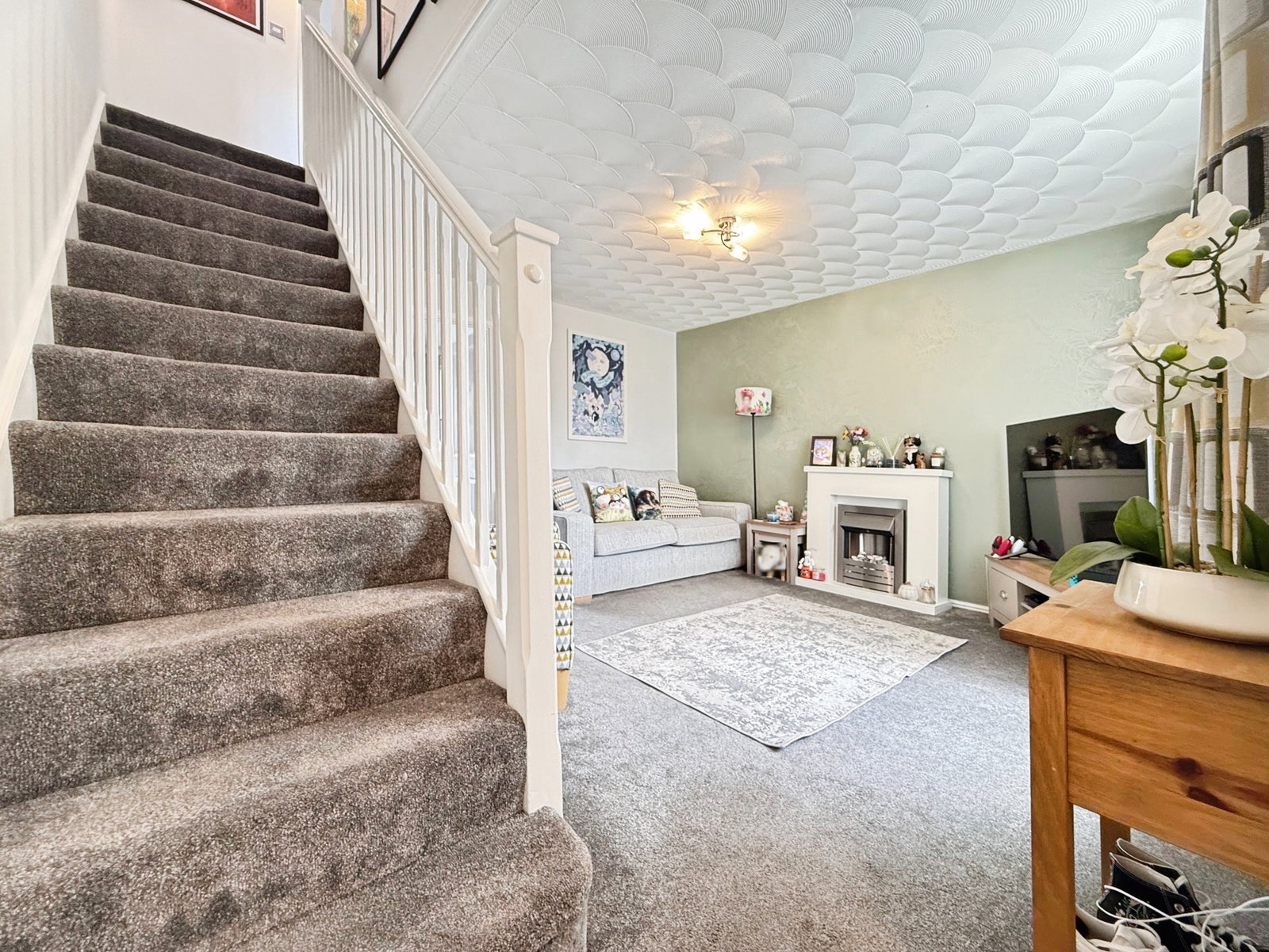 Terraced House in Swansea