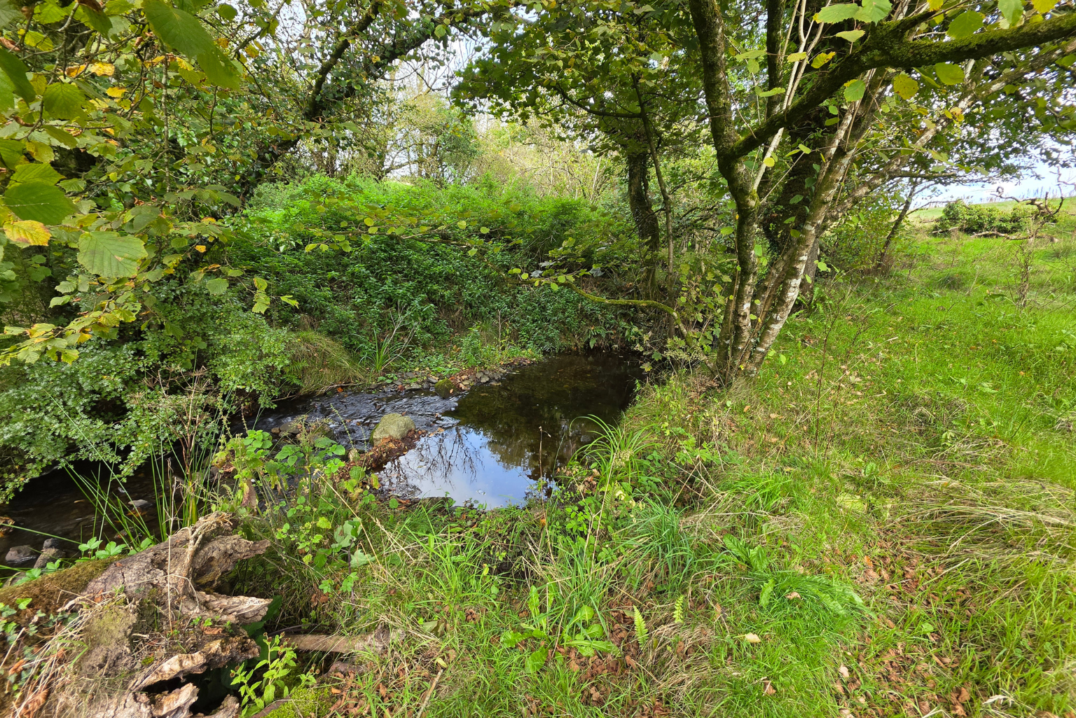 Smallholding for sale in Llanelli, Rhydale, Mynyddcerrig, SA15