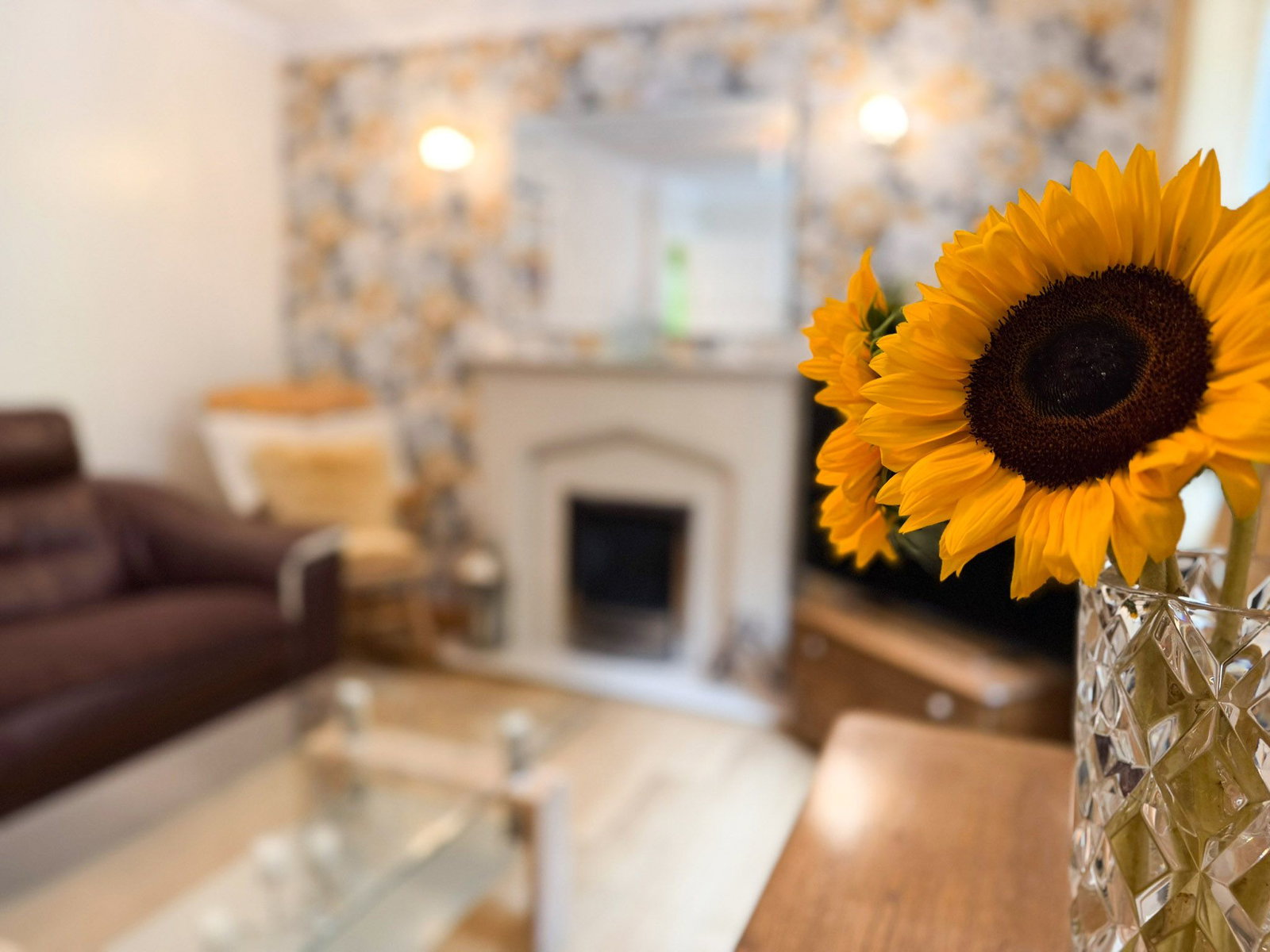 Detached House in Swansea 5