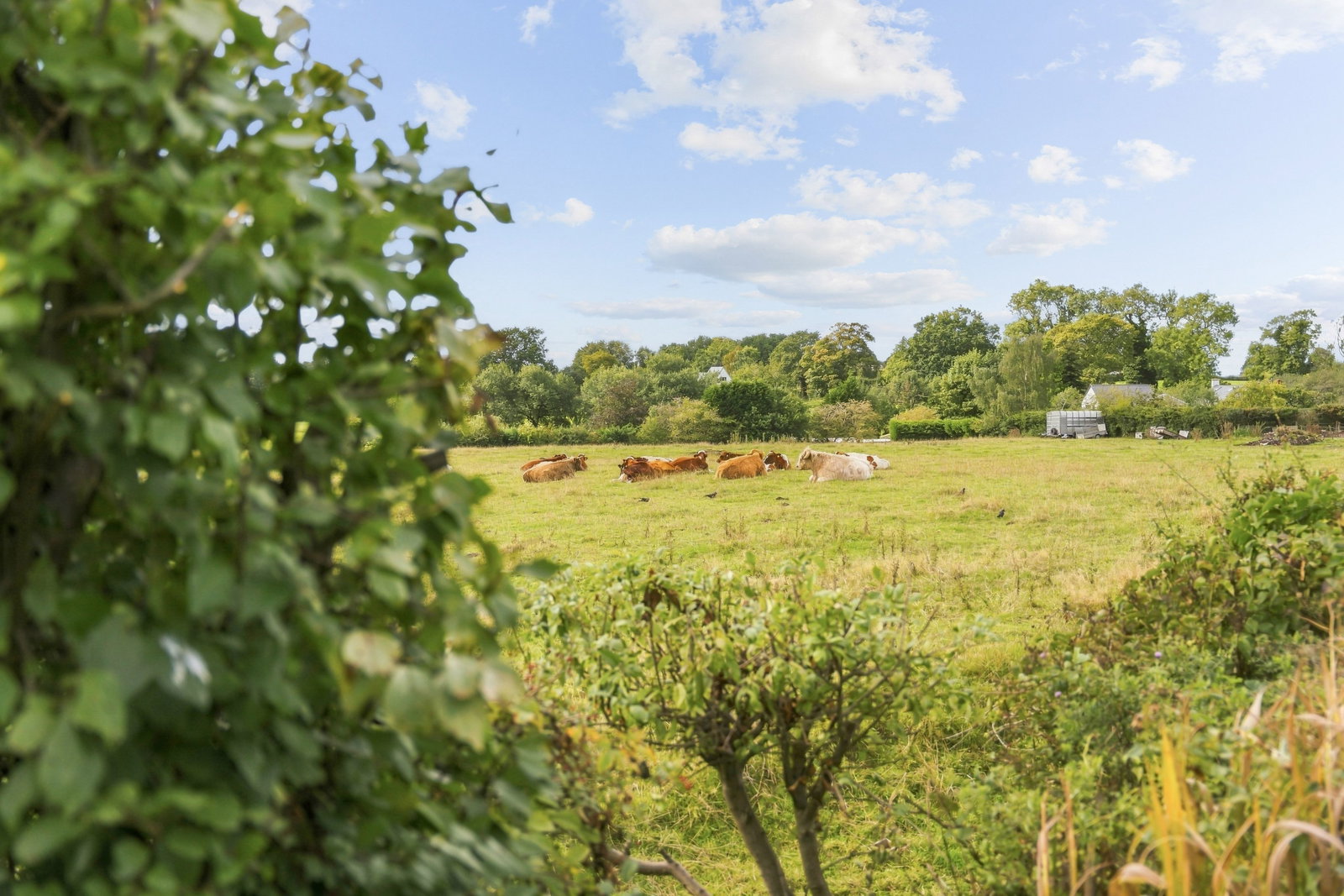 Bungalow for sale in Macclesfield, Pexhill Drive, Macclesfield
