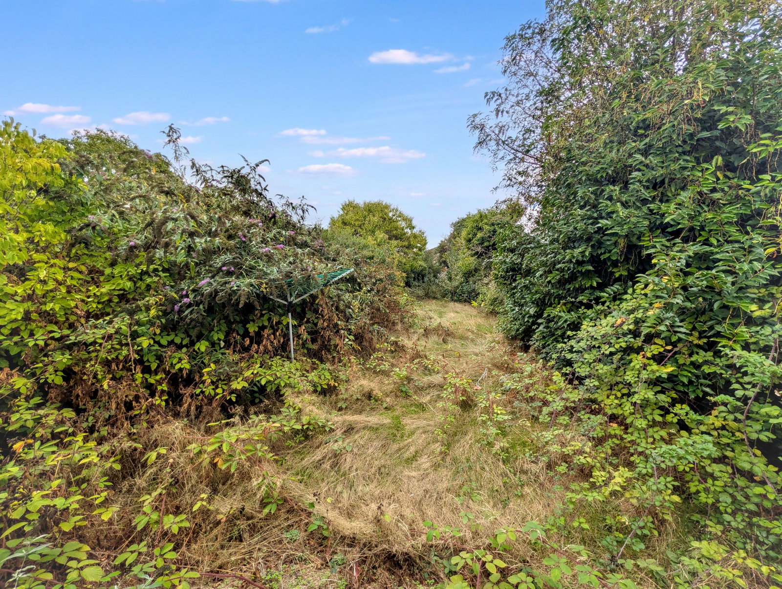 Bungalow for sale in Colchester, Lucy Lane North, Stanway, Colchester, CO3 0JQ