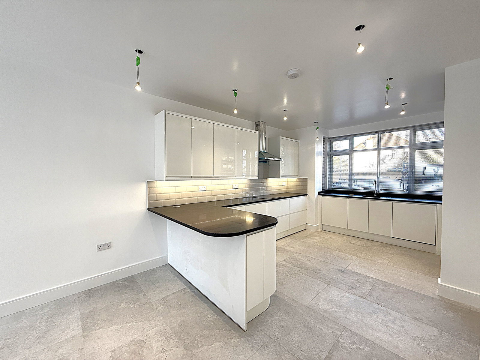 Detached House in London