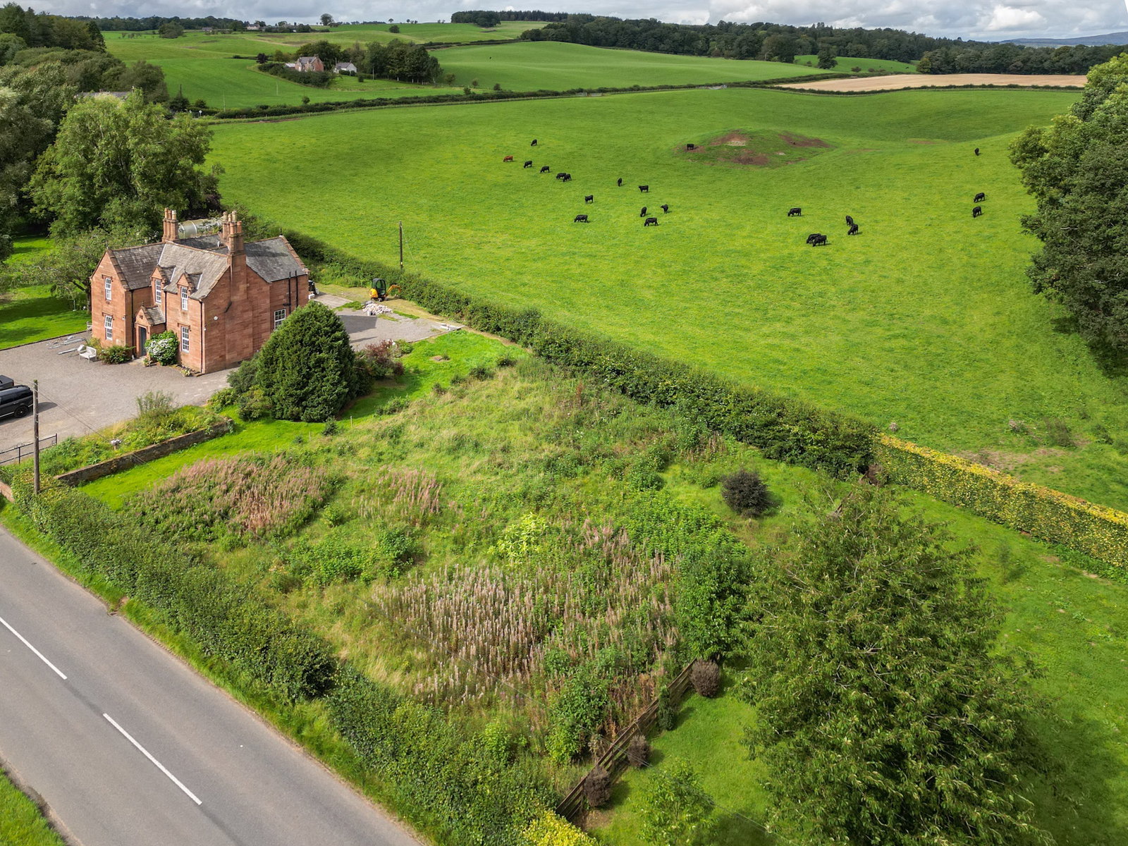 Plot in Thornhill