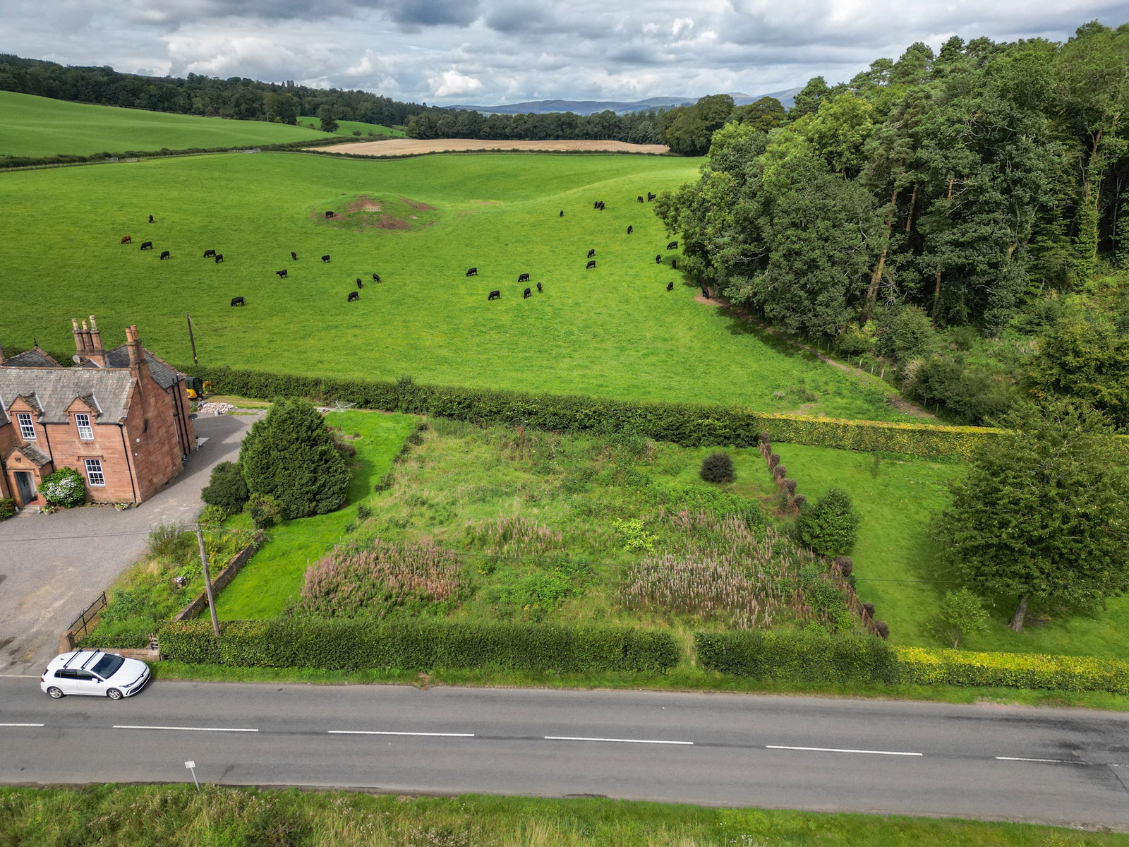 Plot in Thornhill