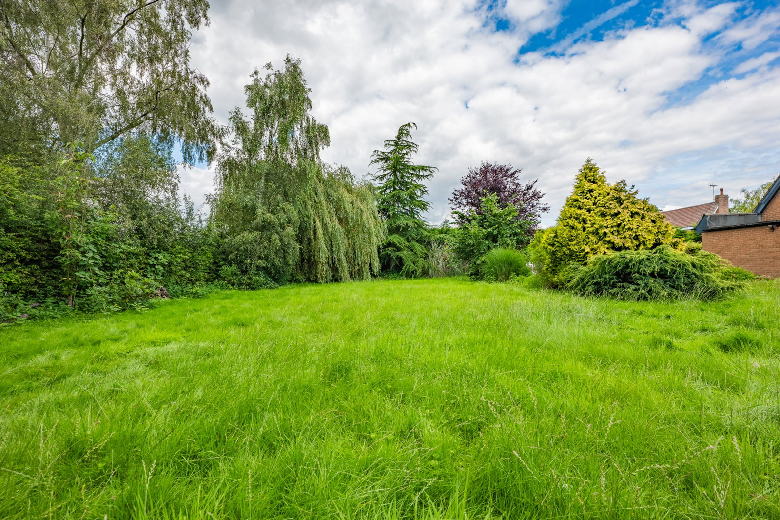 Plot in Newark
