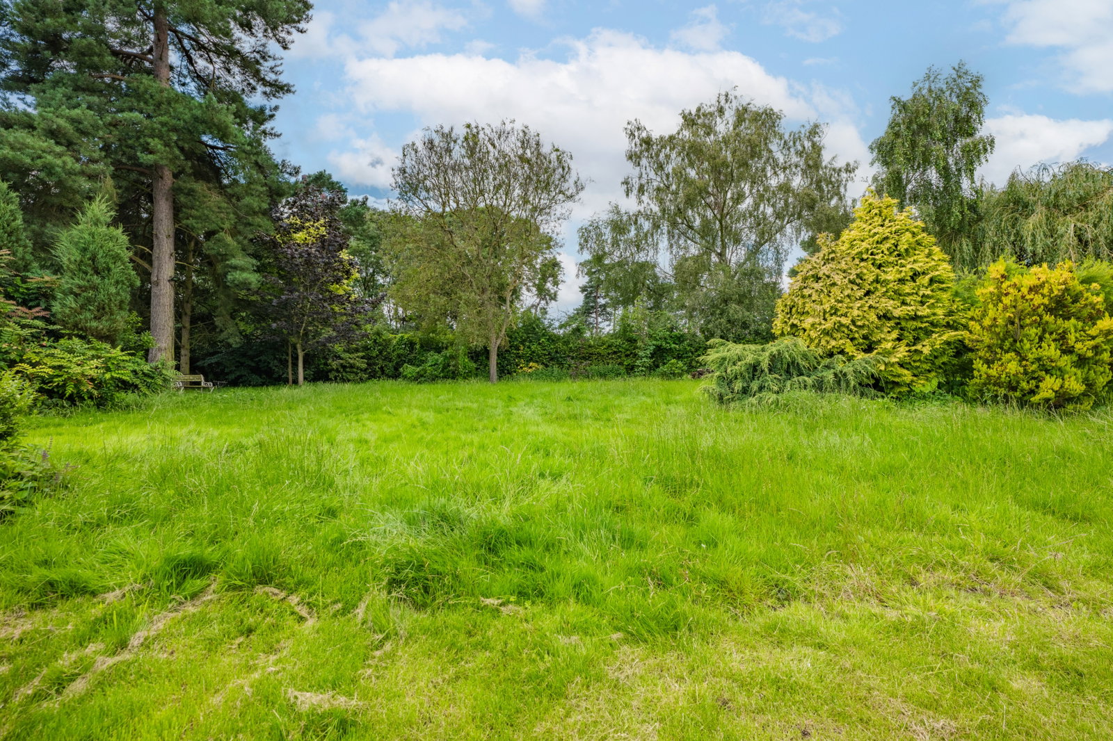 Plot in Newark