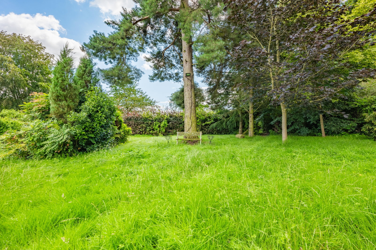 Plot in Newark