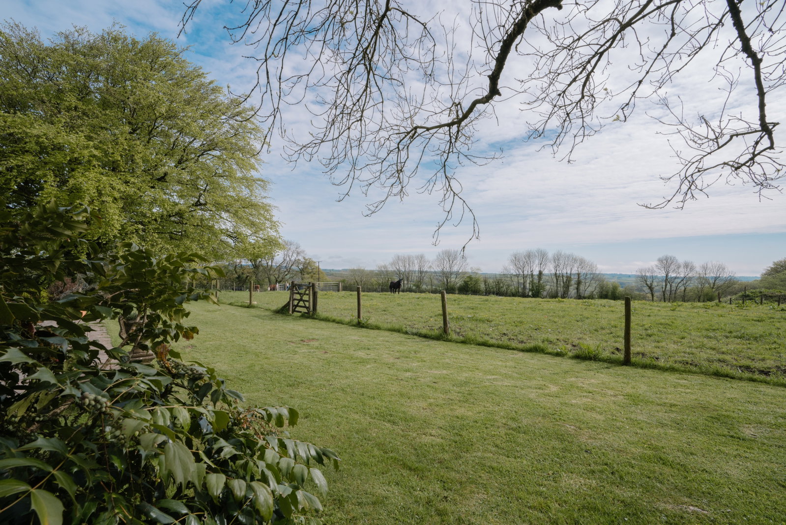Detached House for sale in Holsworthy, Cresta, West Putford
