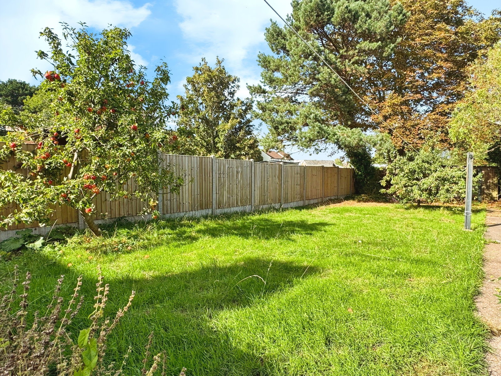 End Of Terrace House in Minehead