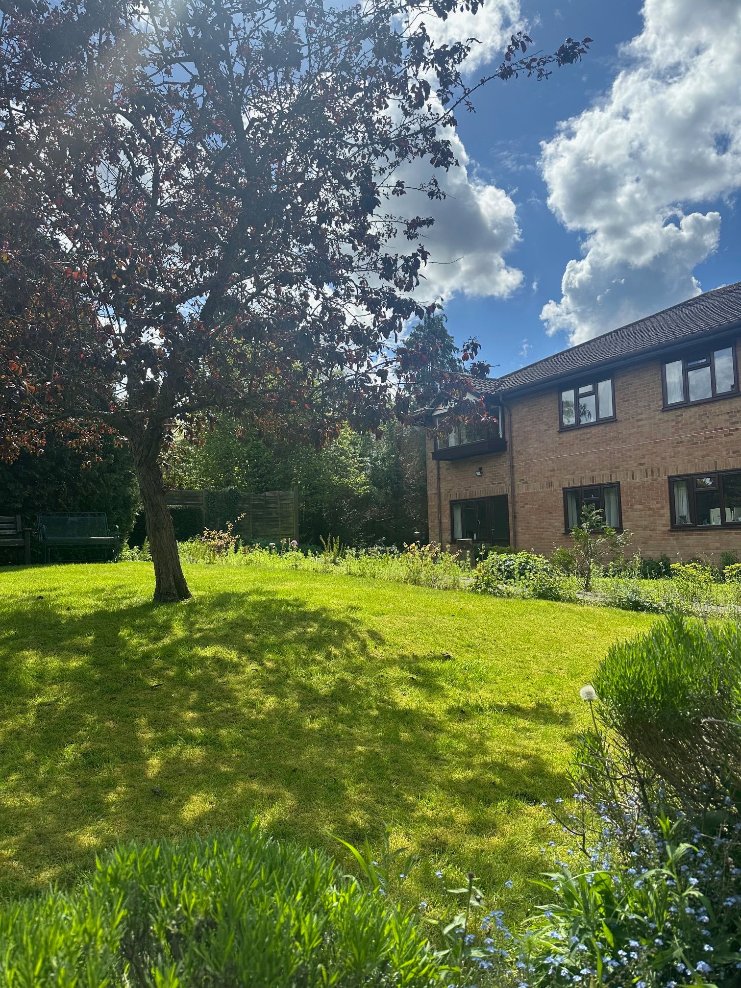 Flat in Bromley